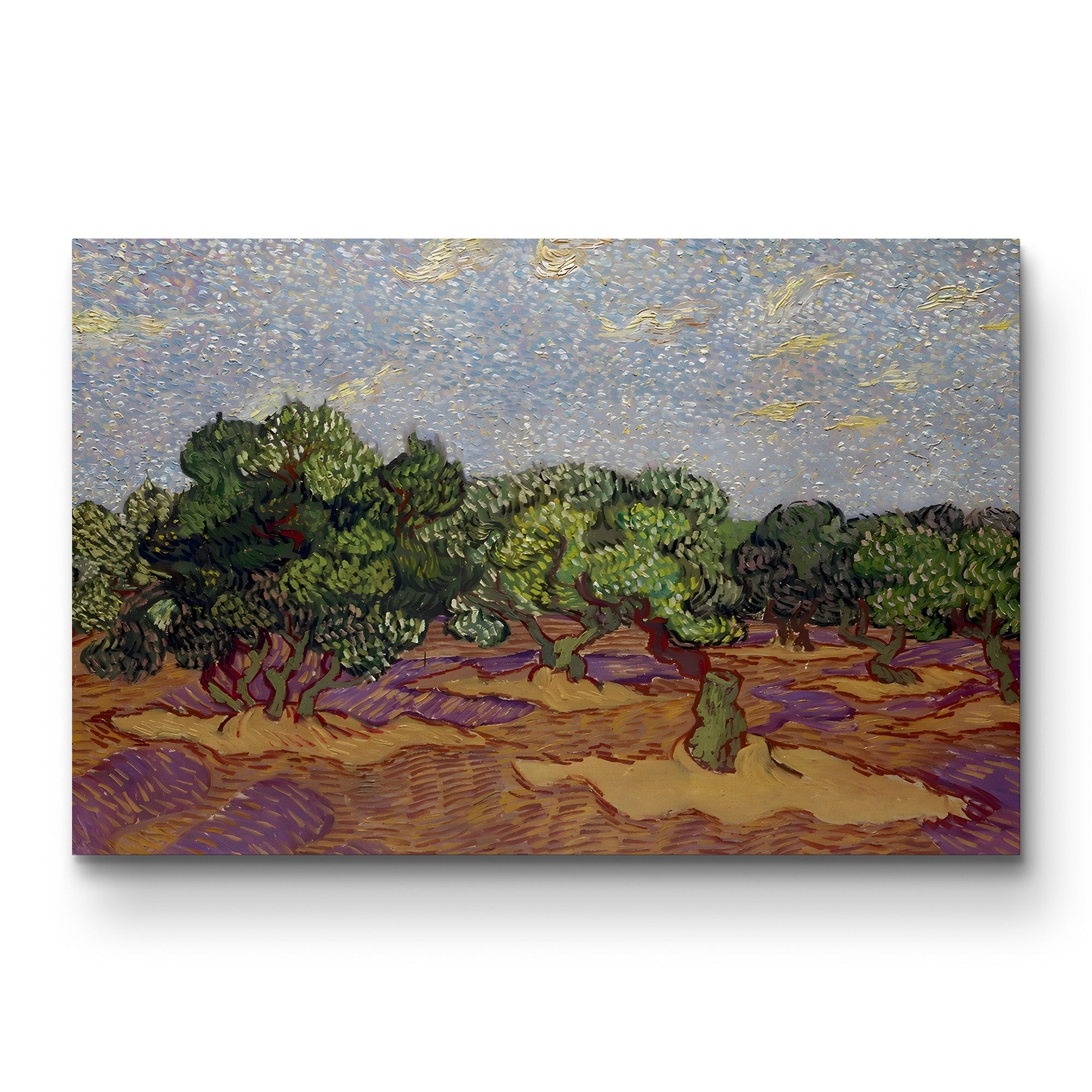 Olive Trees – Vincent van Gogh Wall Art | Post-Impressionist Provençal Canvas Print