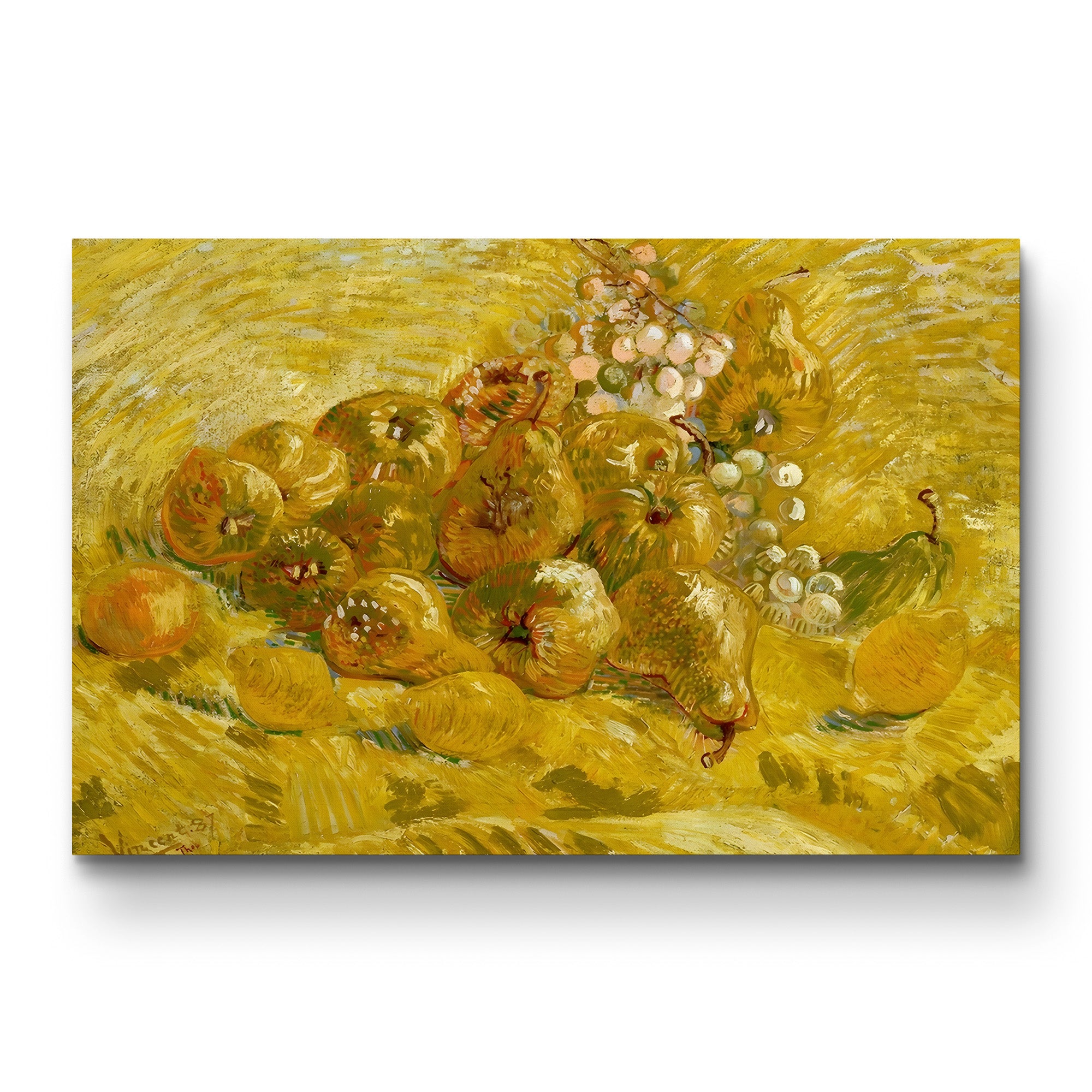 Quinces, Lemons, Pears and Grapes by Vincent van Gogh gallery-wrapped canvas print, front view