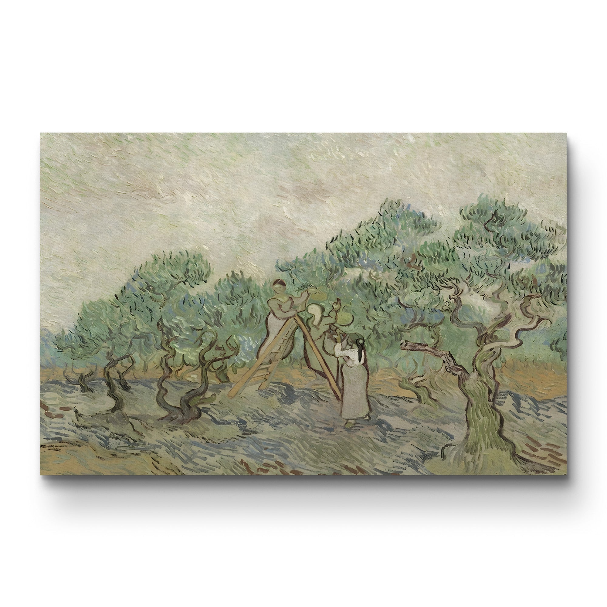 The Olive Orchard, 1889 – Vincent van Gogh Wall Art | Post-Impressionist Landscape Canvas Print