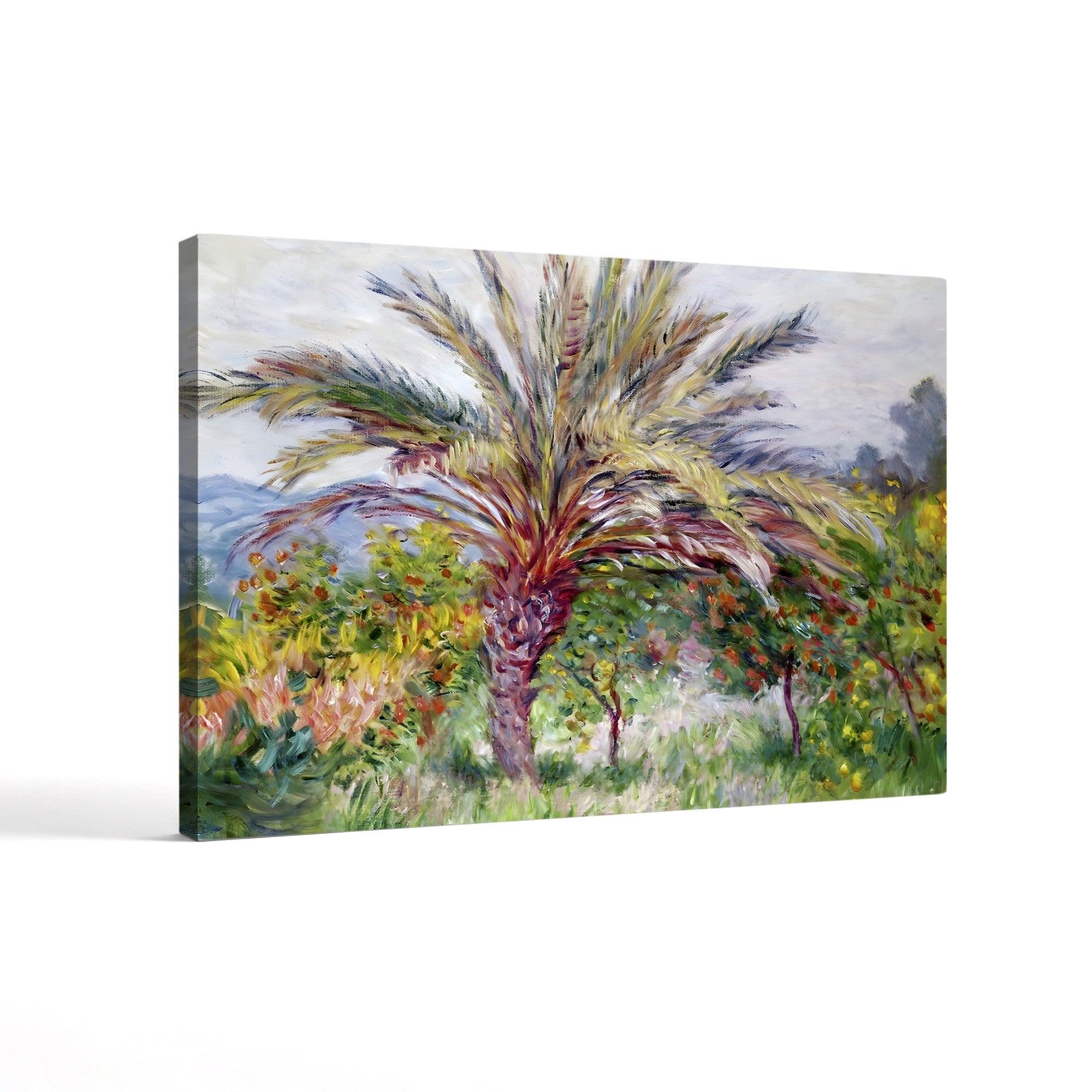 Palm Tree at Bordighera (Palmier à Bordighera), 1884 by Claude Monet