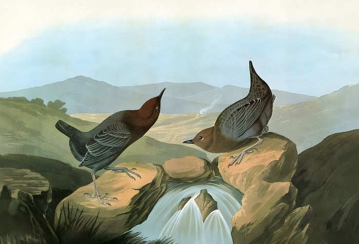 John James Audubon
