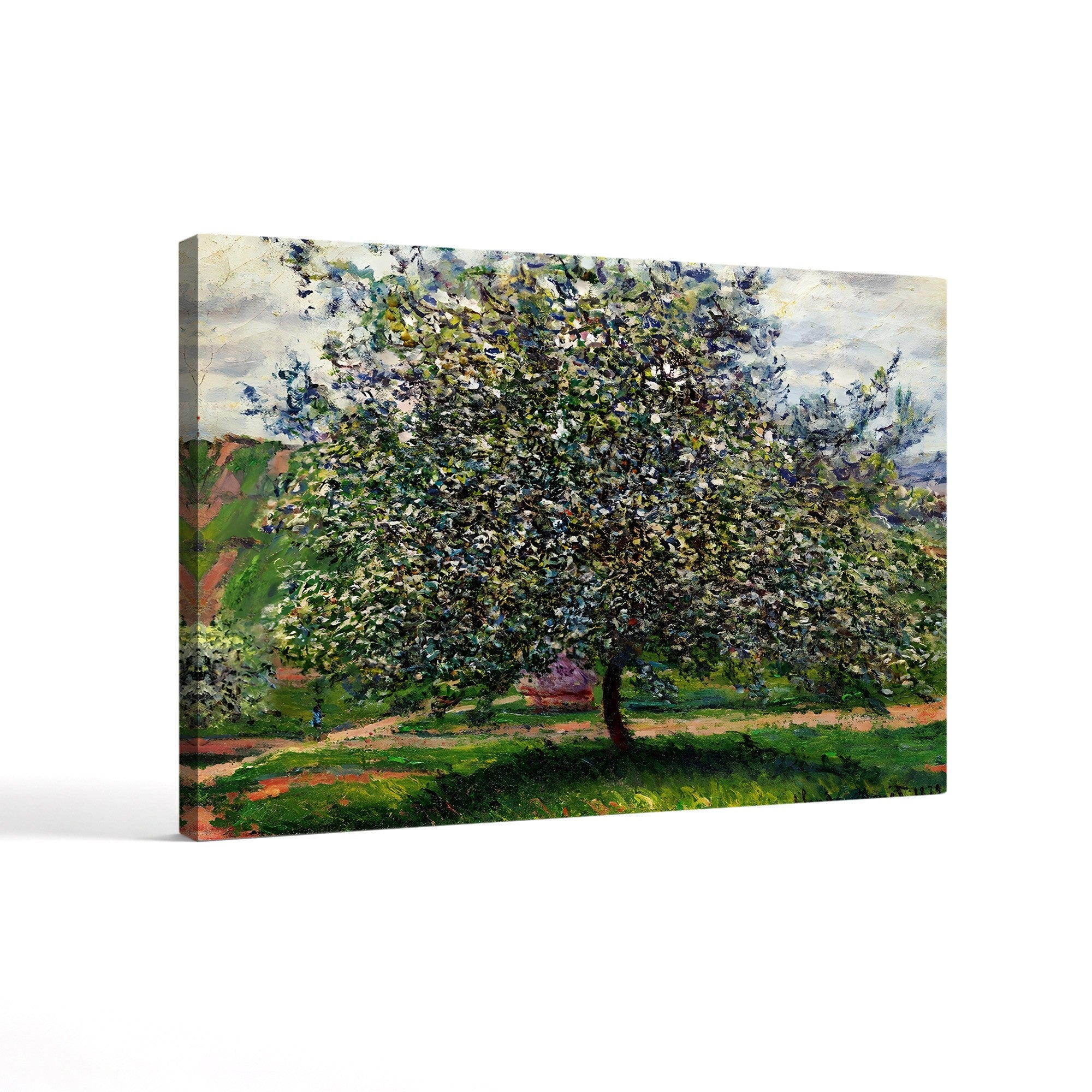 The Apple Tree (Le Pommier), 1879 by Claude Monet
