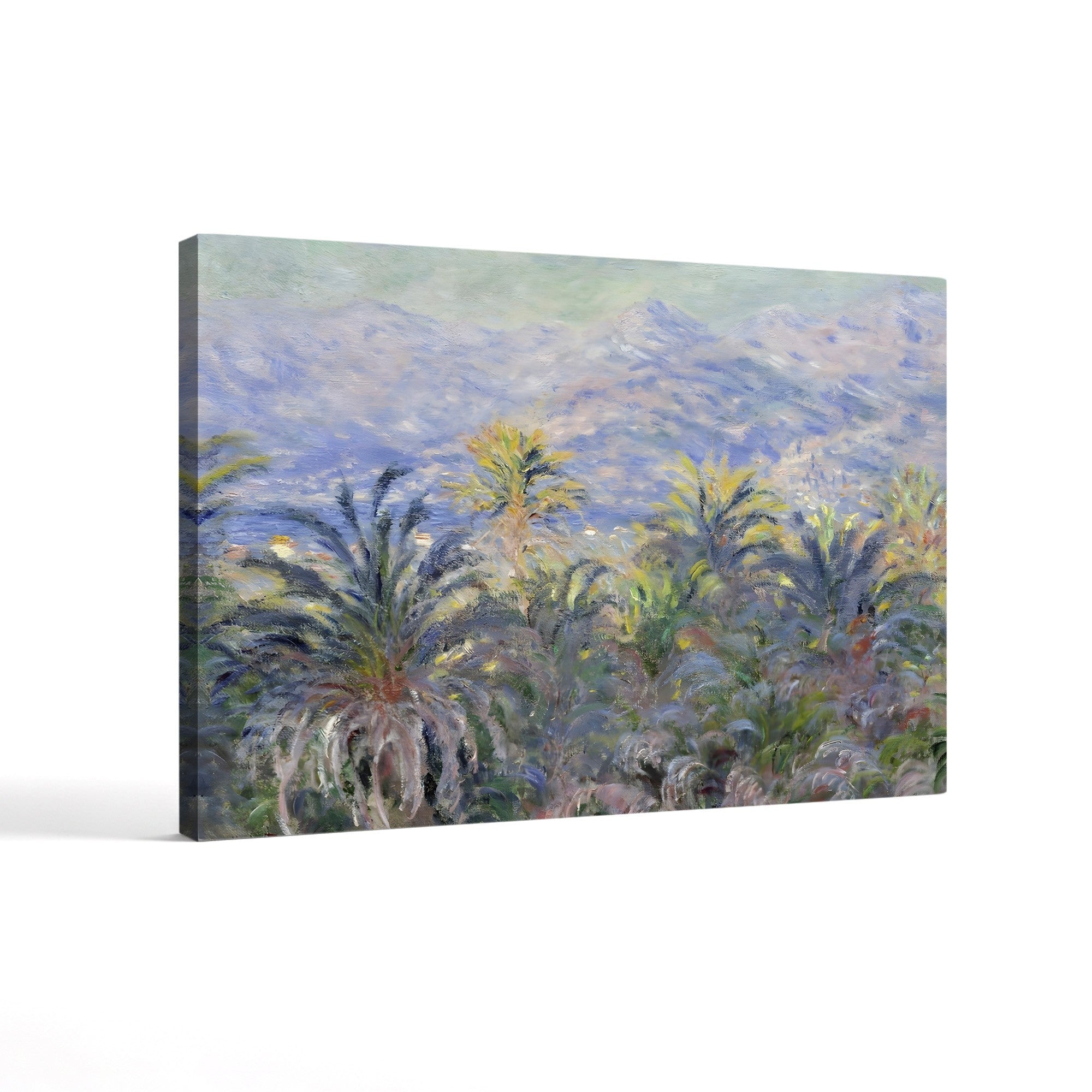 Palm Trees at Bordighera (Palmiers à Bordighera), 1884 by Claude Monet