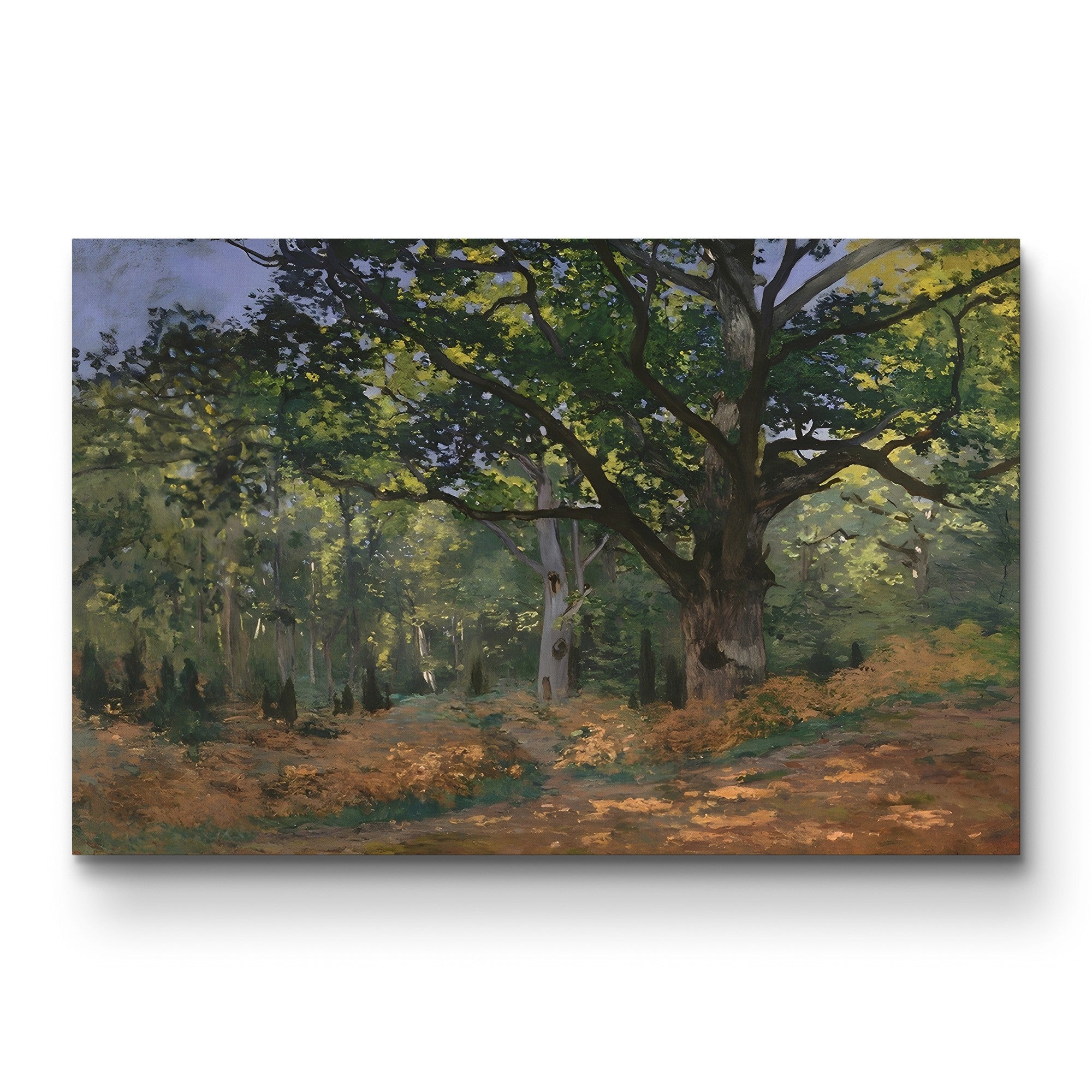 The Bodmer Oak, Fontainebleau Forest (Le Chêne de Bodmer, forêt de Fontainebleau), 1865 by Claude Monet