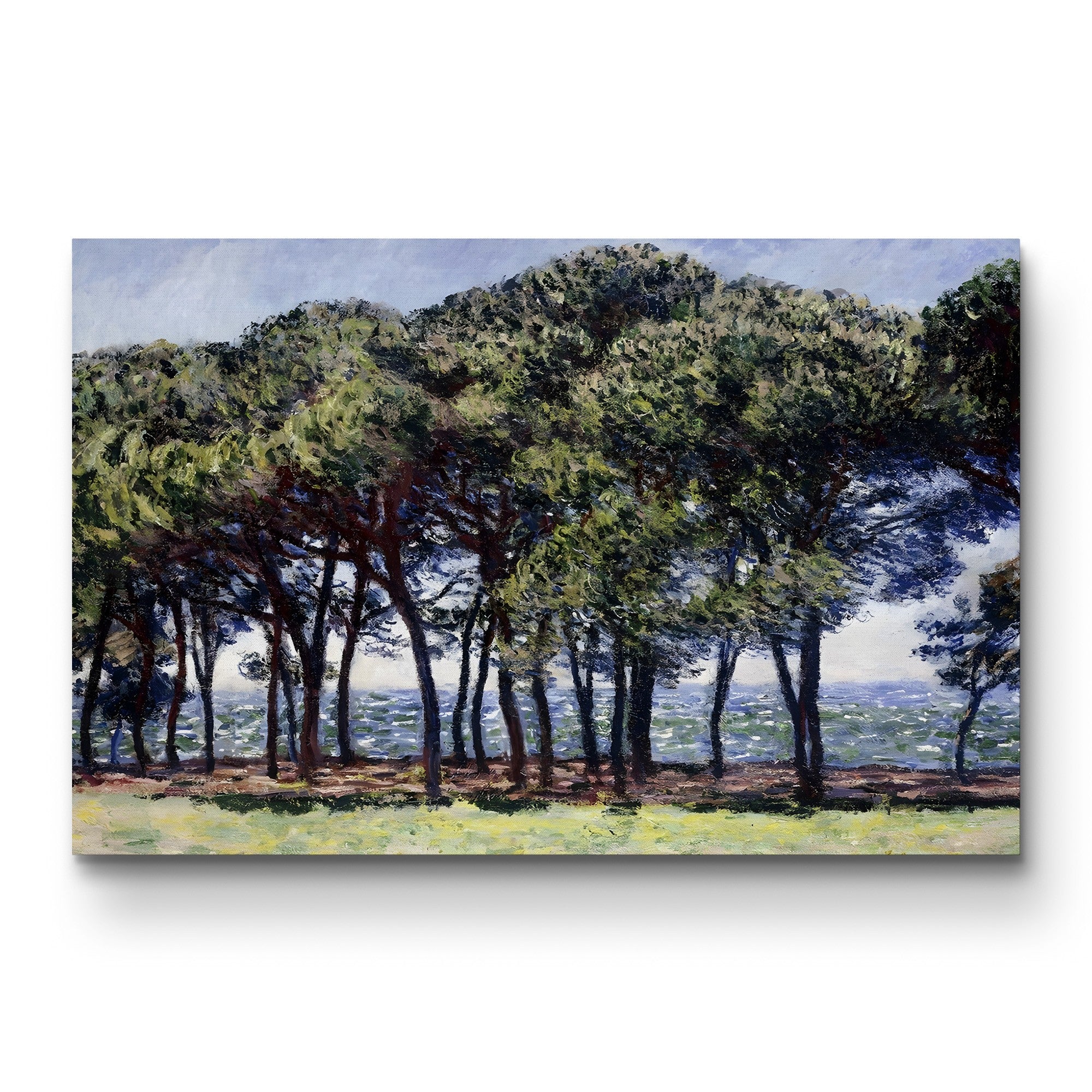 Pine Trees at Cap d’Antibes (Pins, Cap d’Antibes), 1888 by Claude Monet