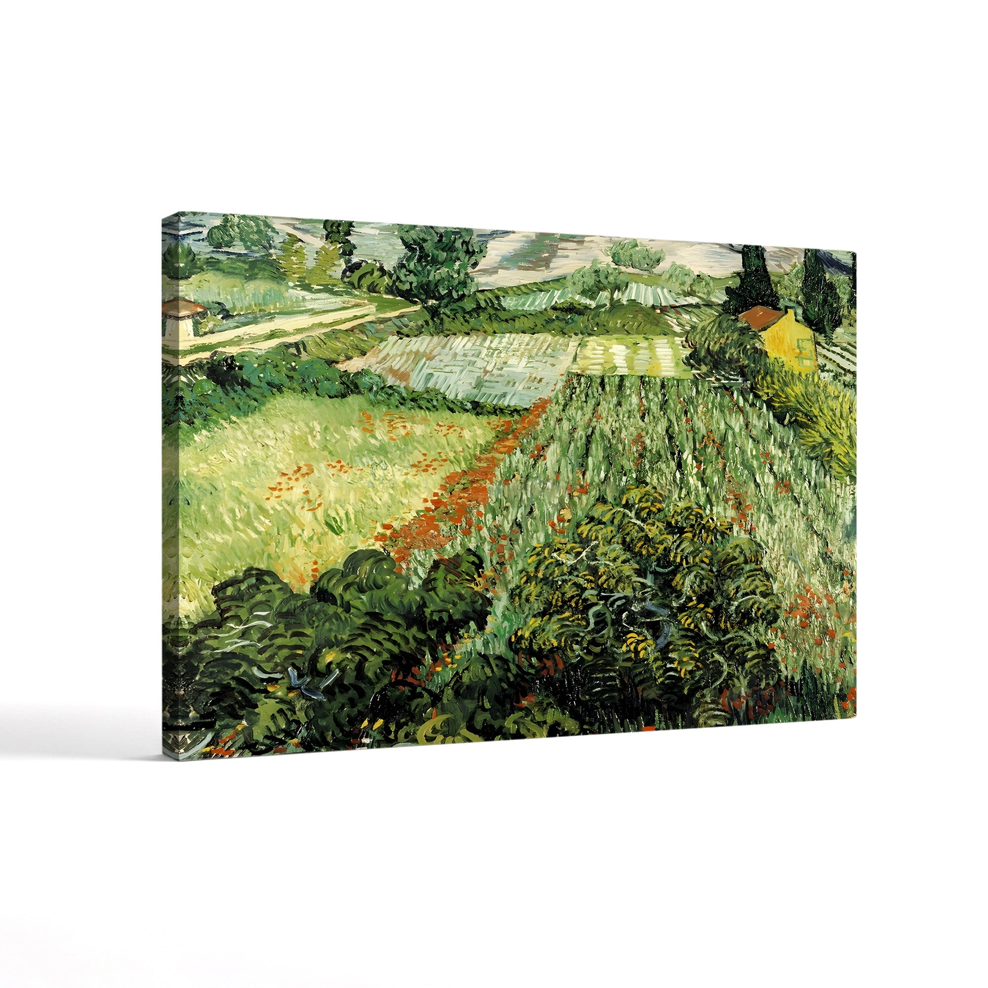 Feld mit Mohnblumen (Field with Poppies) – Vincent van Gogh Wall Art | Post-Impressionist Landscape Canvas Print