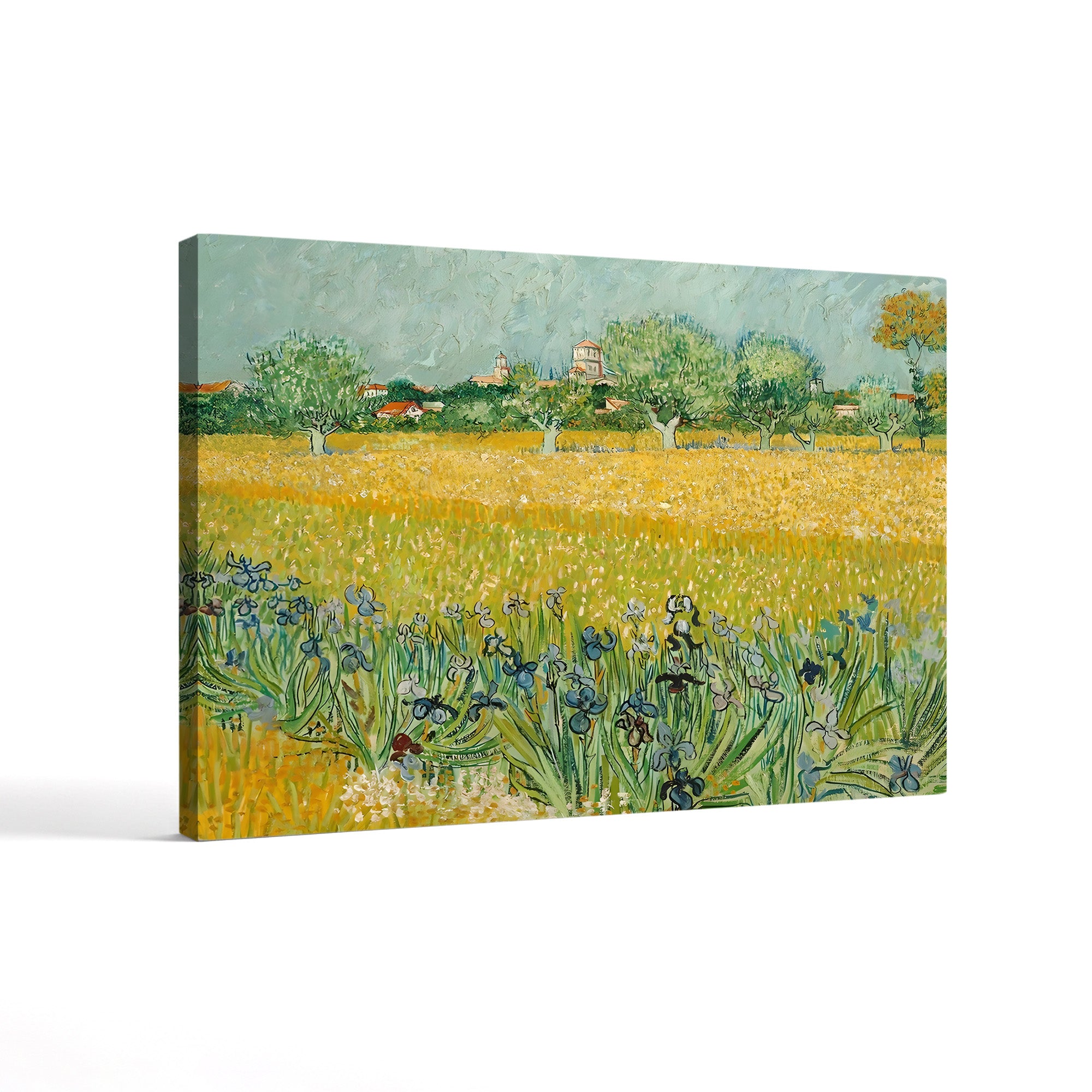 Field with Irises Near Arles – Vincent van Gogh Wall Art | Post-Impressionist Landscape Canvas Print
