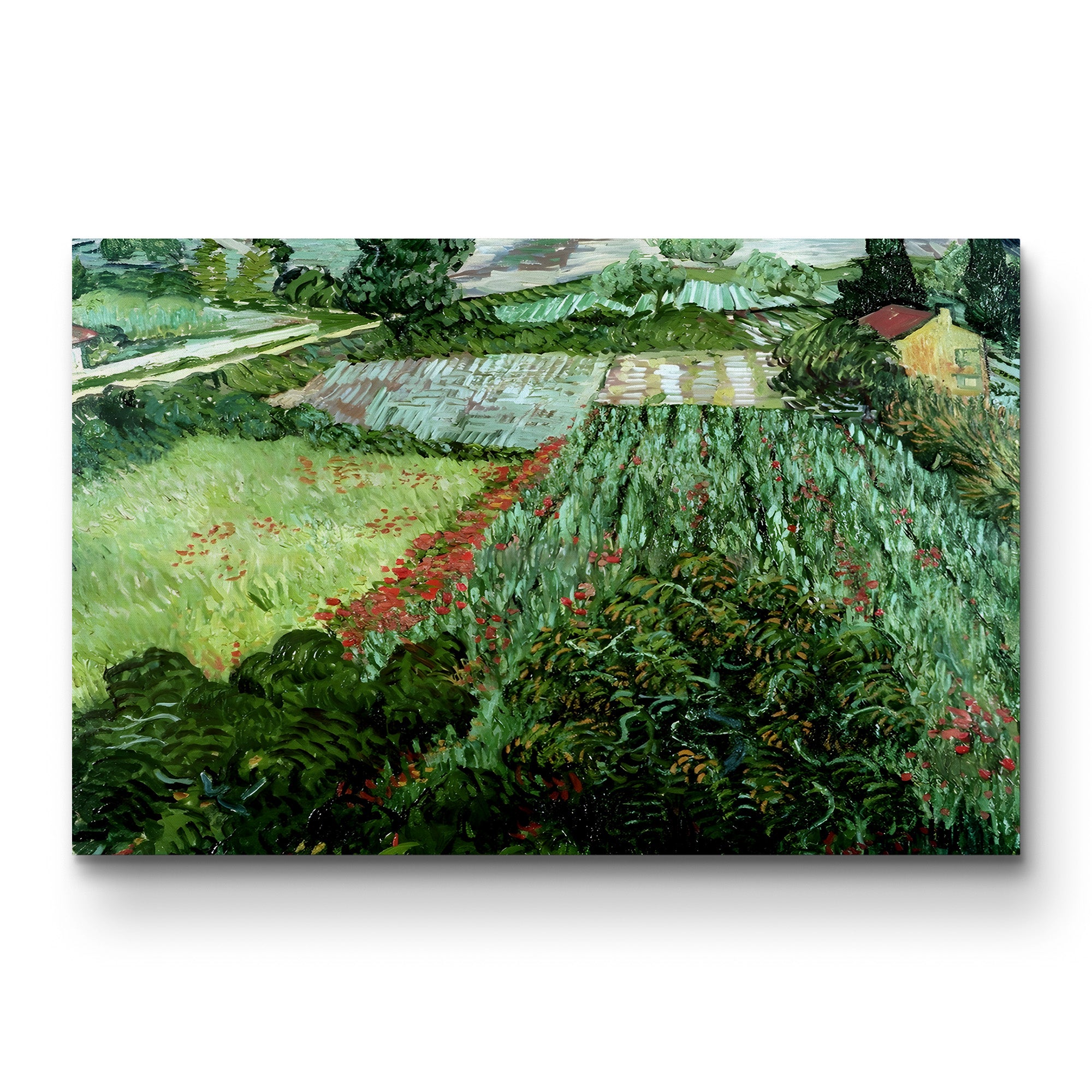 Field with Poppies, 1889 – Vincent van Gogh Wall Art | Post-Impressionist Landscape Canvas Print