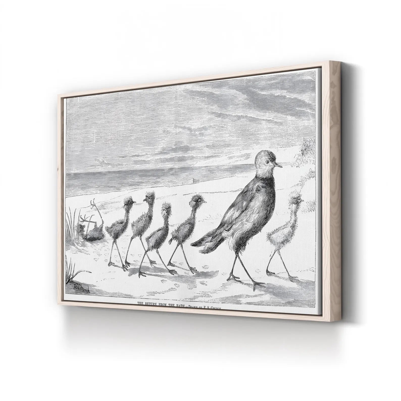 Vintage Bird Family Canvas Art Print: 1879 Engraved Nature Illustration