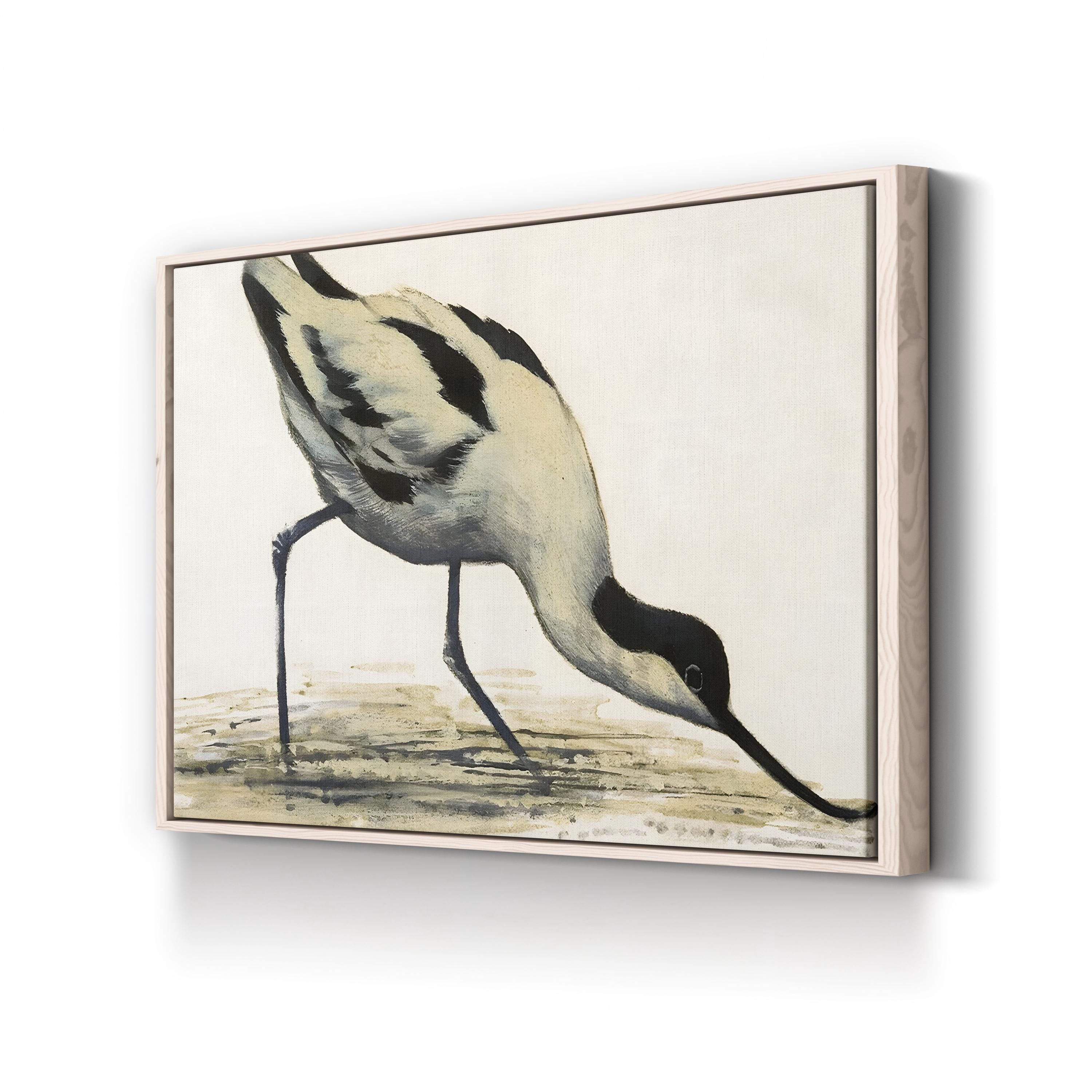 Vintage Avocet Bird Print: Black and White Shorebird Illustration