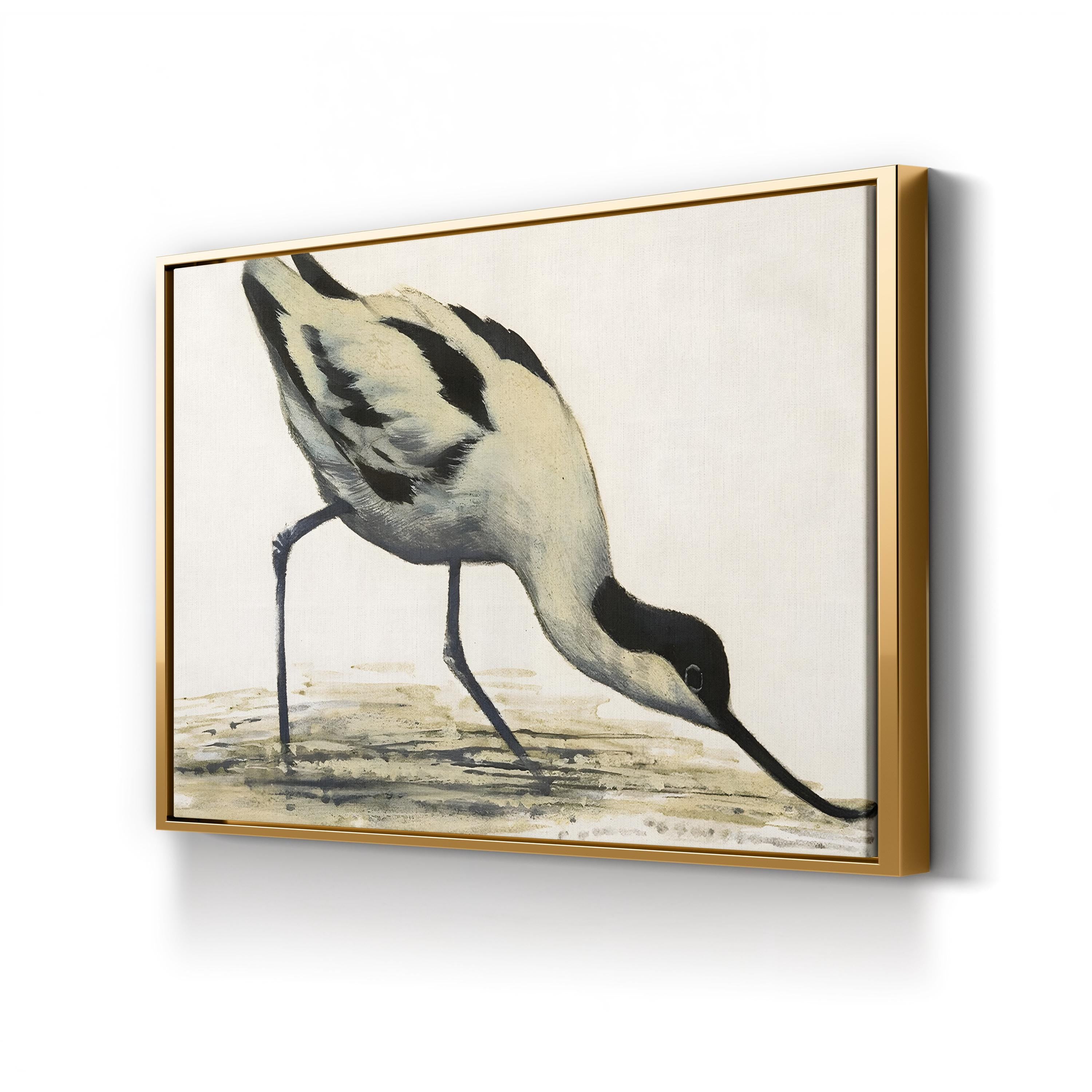 Vintage Avocet Bird Print: Black and White Shorebird Illustration