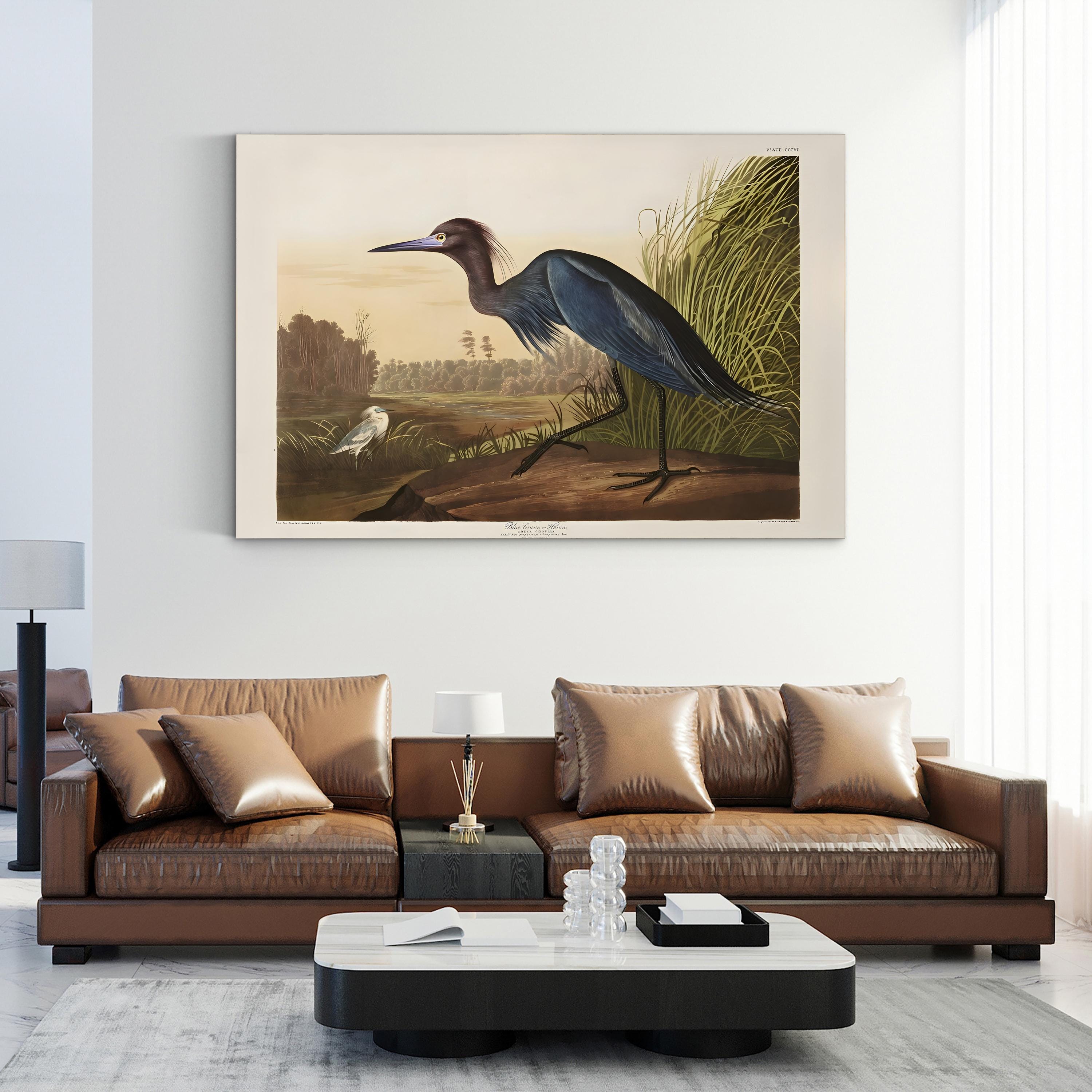 Blue Crane Heron – Period Illustration Wall Art | 19th-Century Bird Canvas Print
