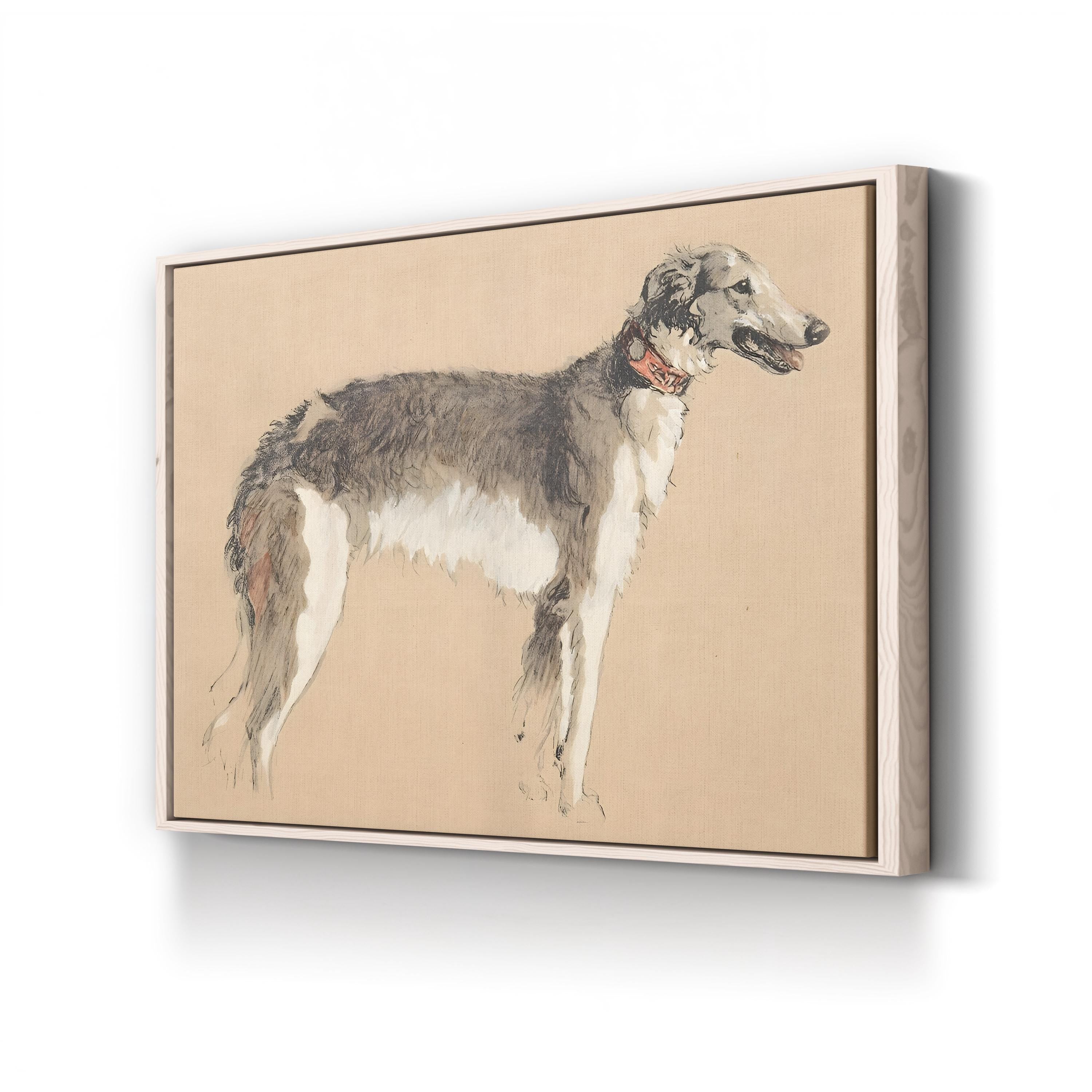 Borzoi Study, 1930, by Cecil Aldin canvas print in natural frame