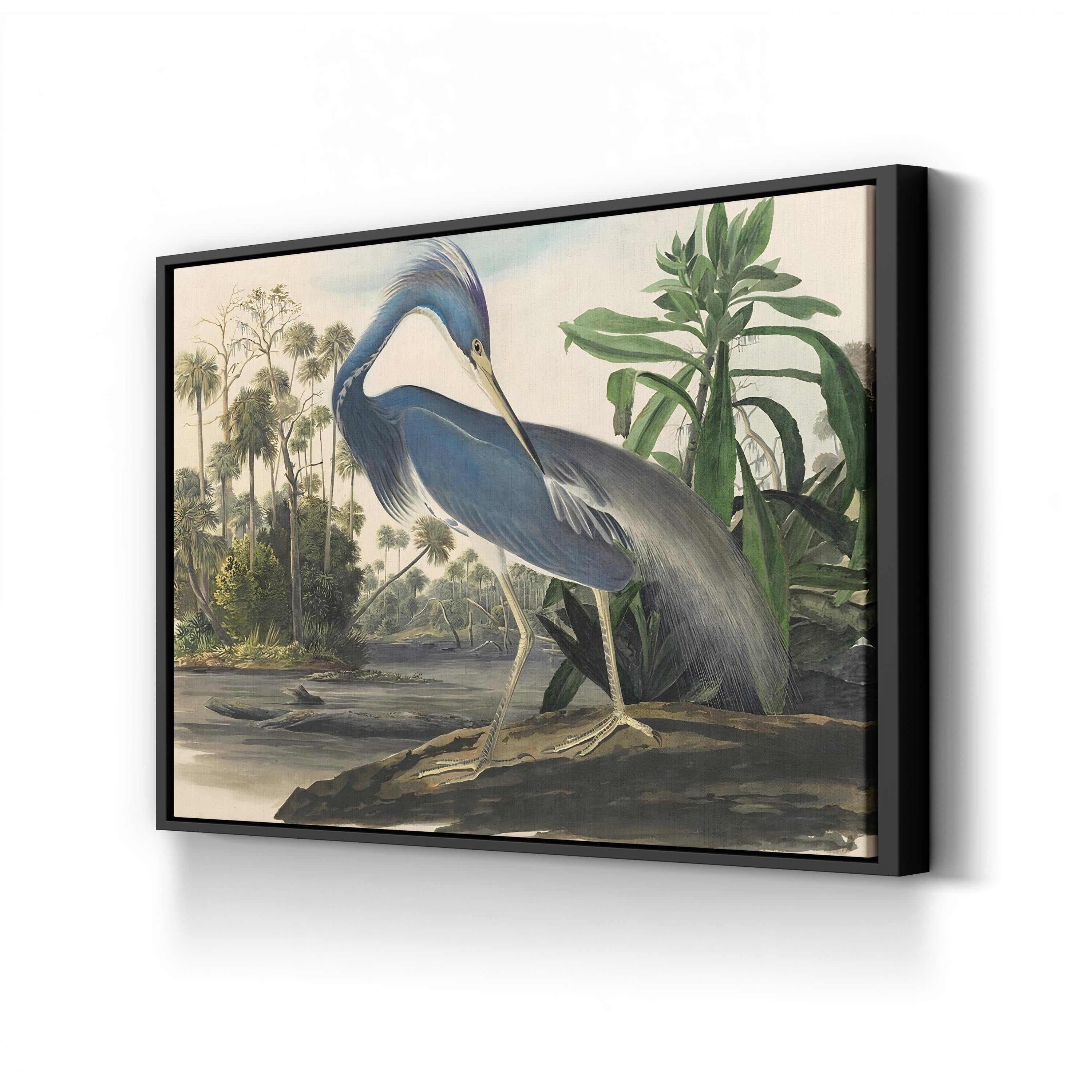 Blue Heron Wall Art | Vintage Scientific Illustration by Vintage Apple Collection
