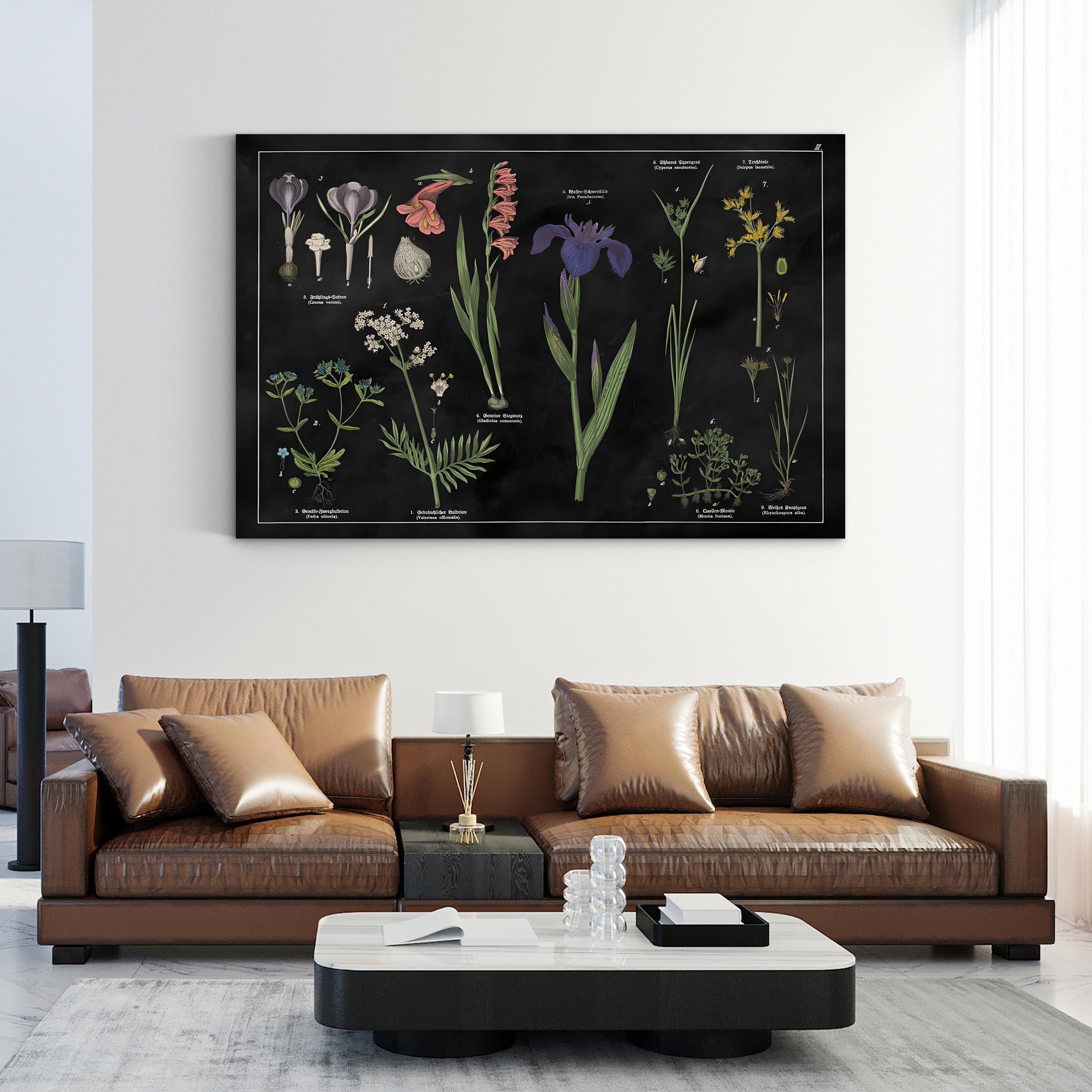 Vintage Botanical Print: Black & White Floral Chart, Natural History Canvas