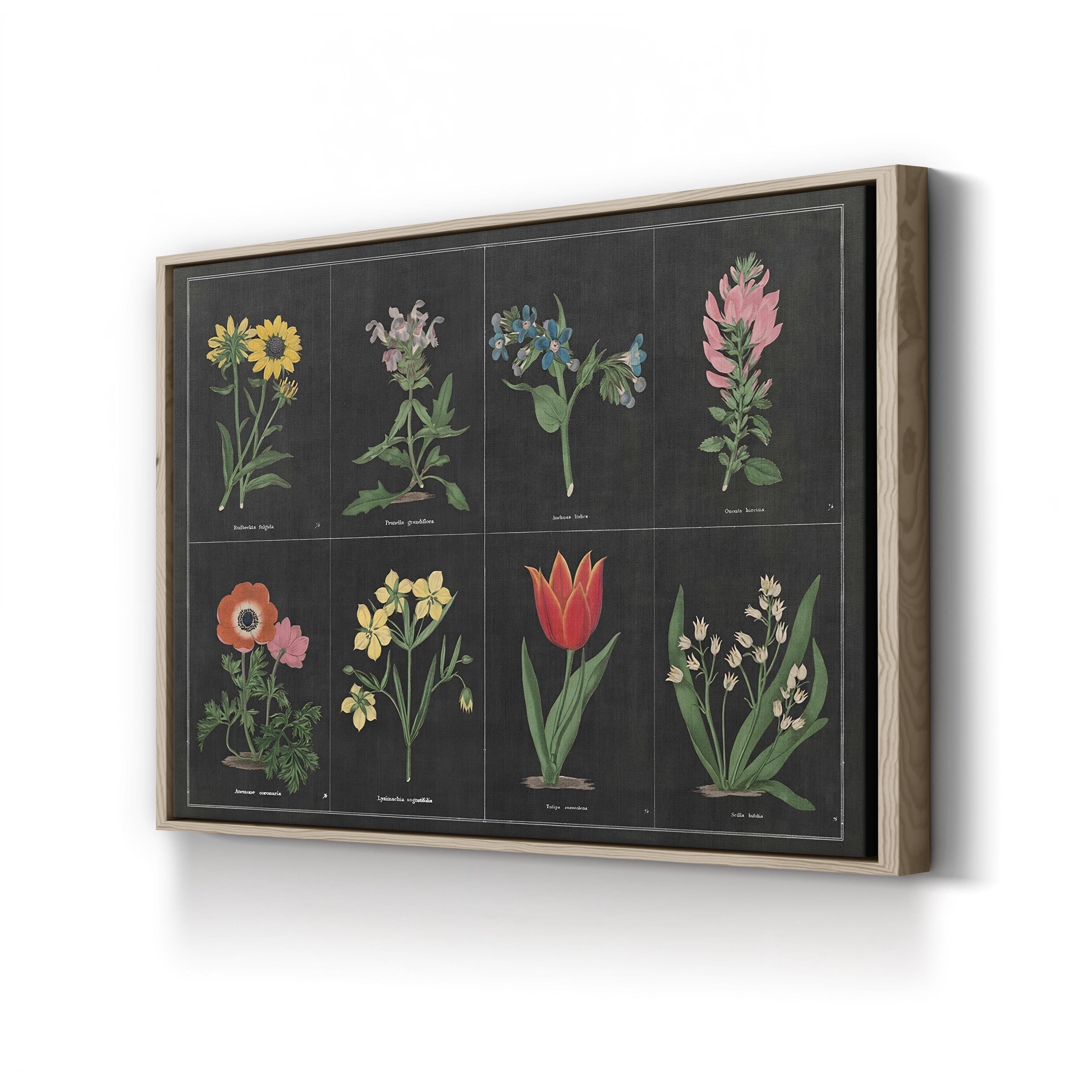 Botanical on Black Chart I by Wild Apple Portfolio