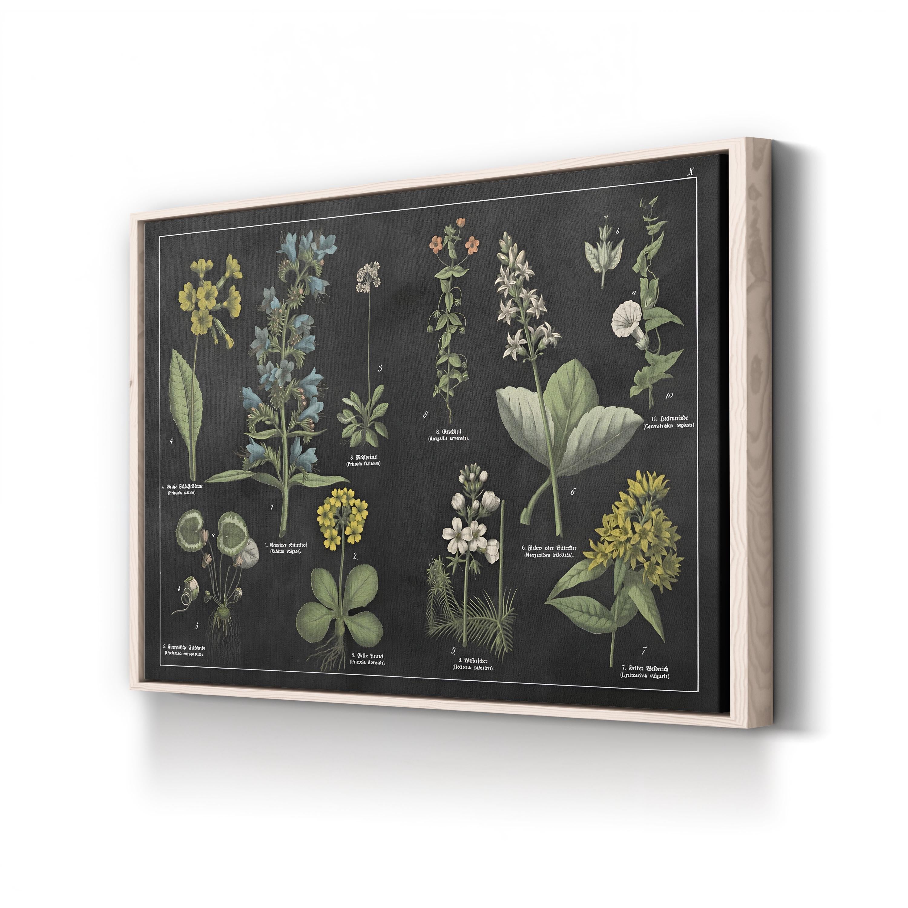 Botanical Floral Chart I Black and White Wall Art by Wild Apple Portfolio