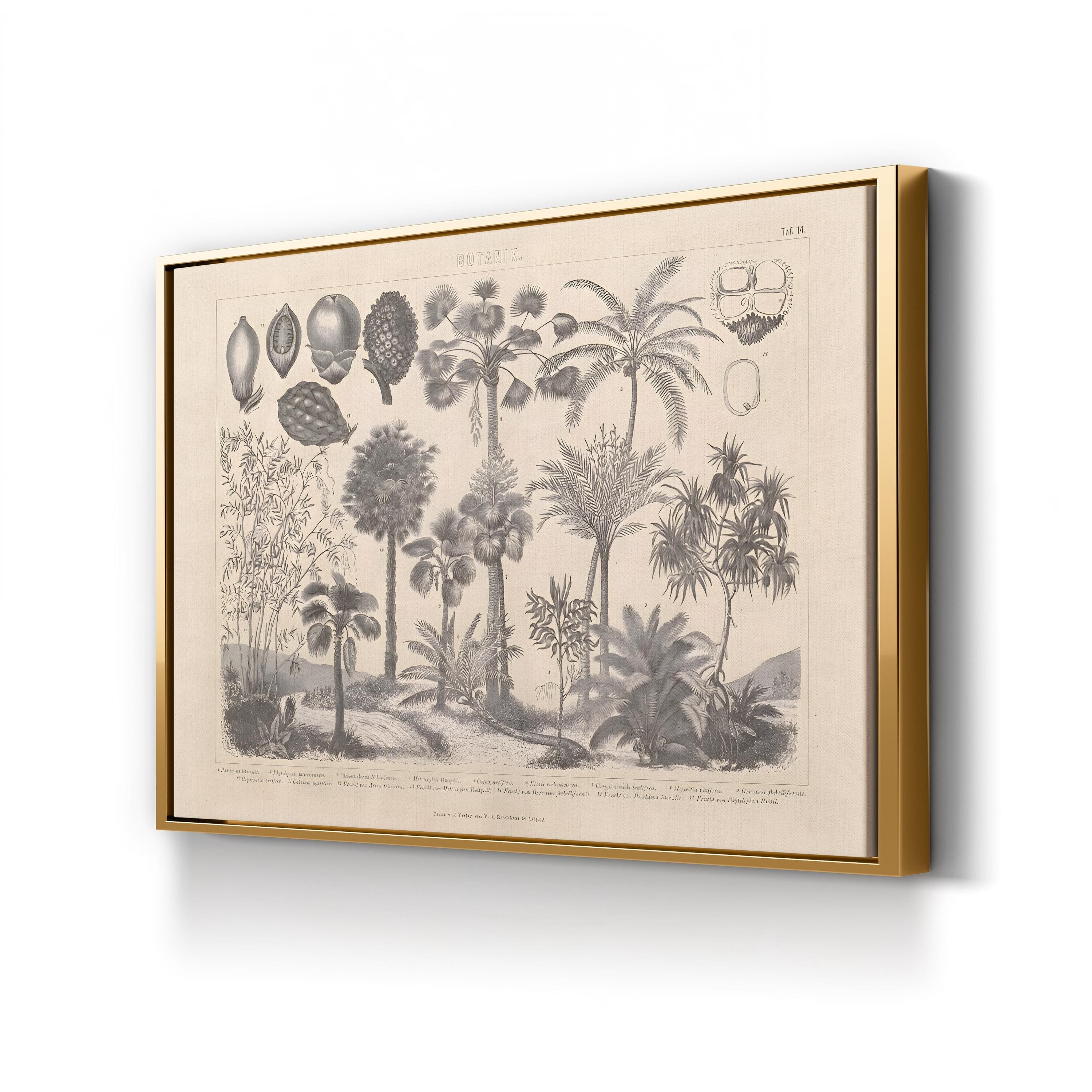 Vintage Botanical Canvas Print: Antique Plant Illustration, Garden Art