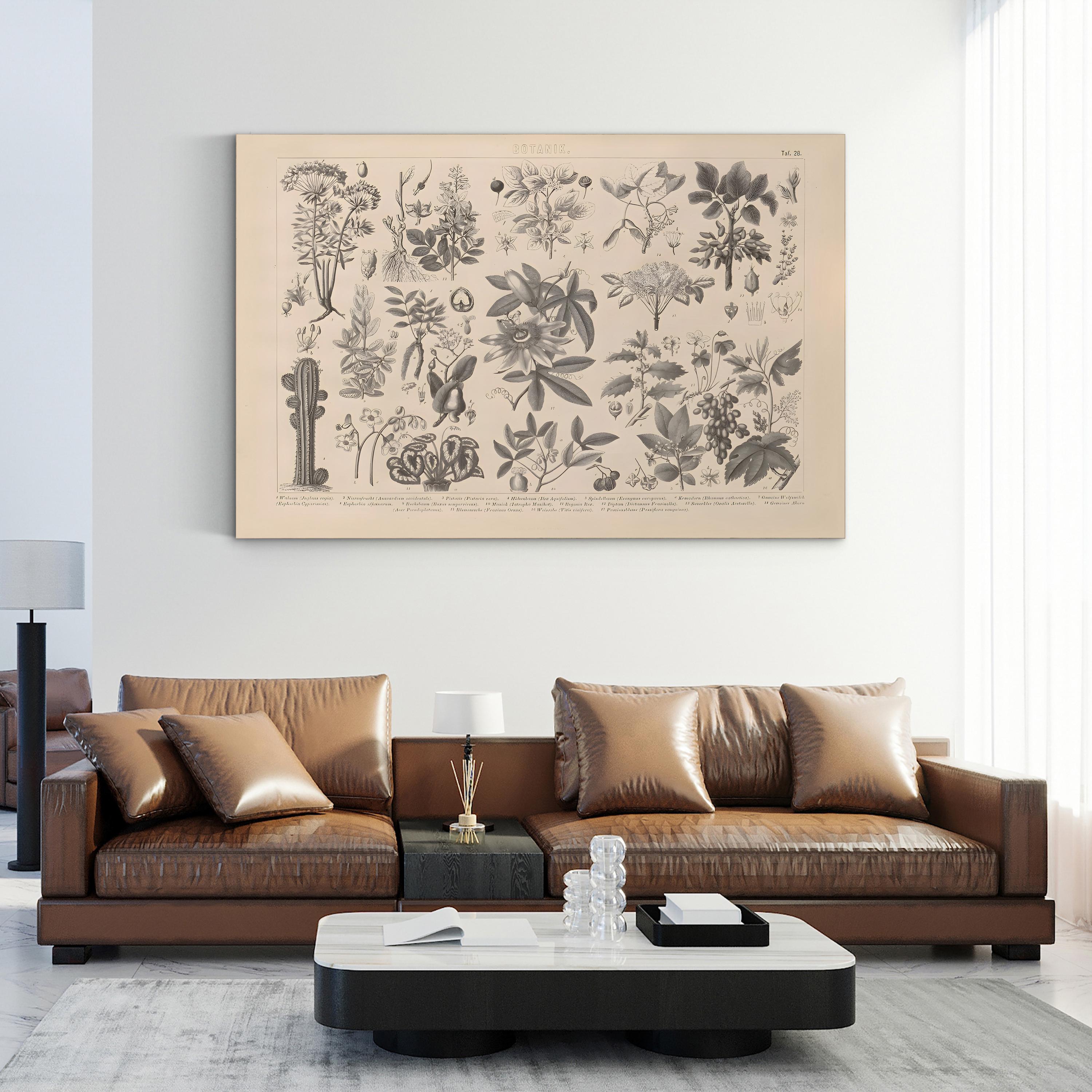 Vintage Botanical Plant Print: Antique Garden Study Canvas