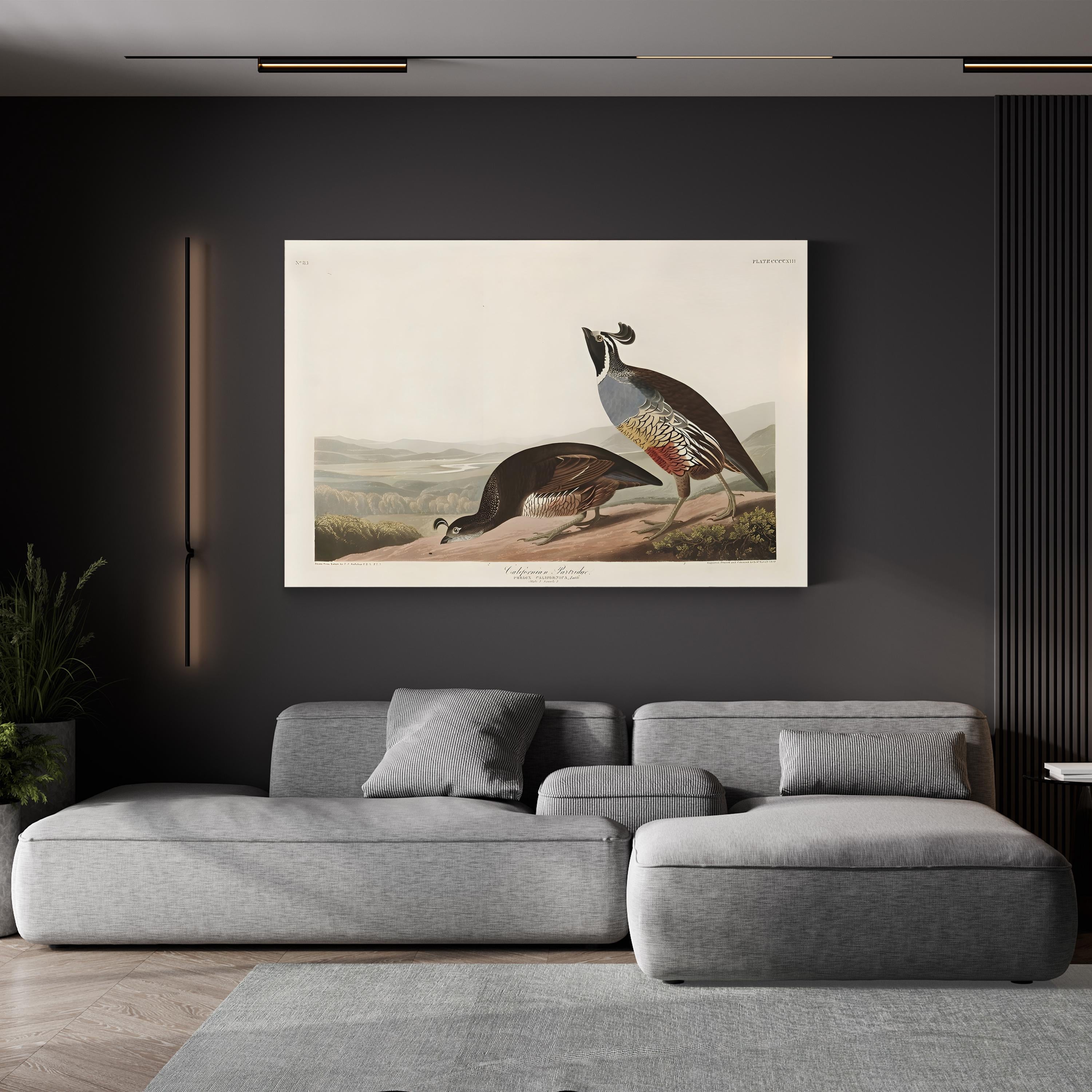 Californian Partridge – Framed Vintage Natural History Canvas Art by John James Audubon