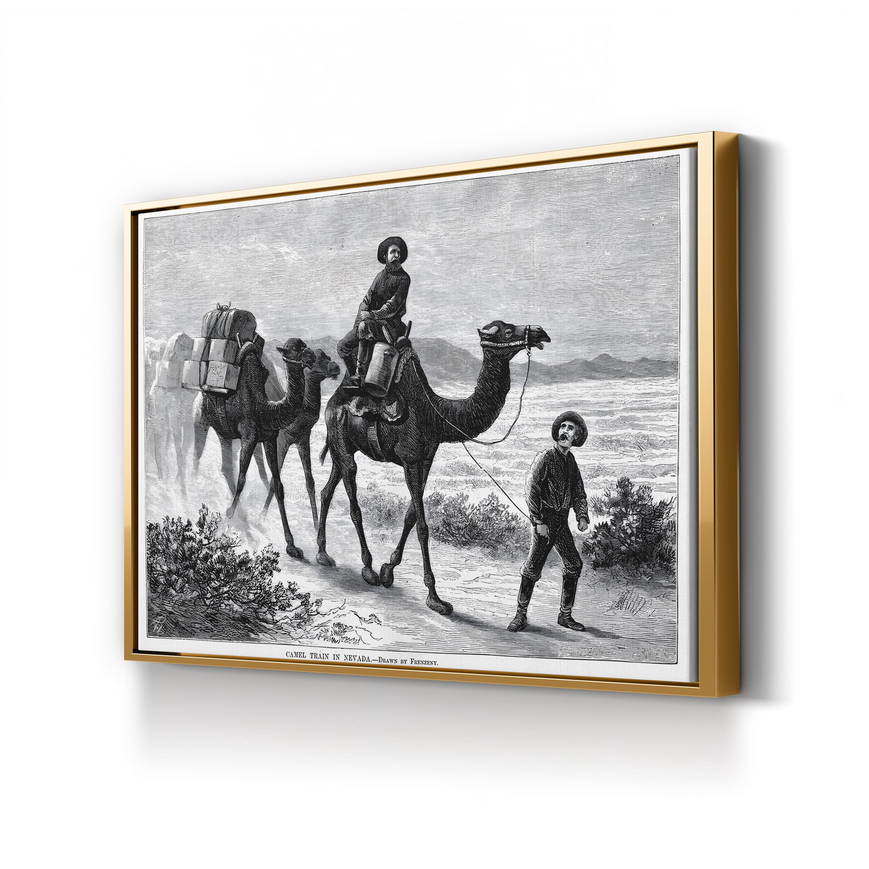 1877 American West Camel Caravan in the Nevada Desert