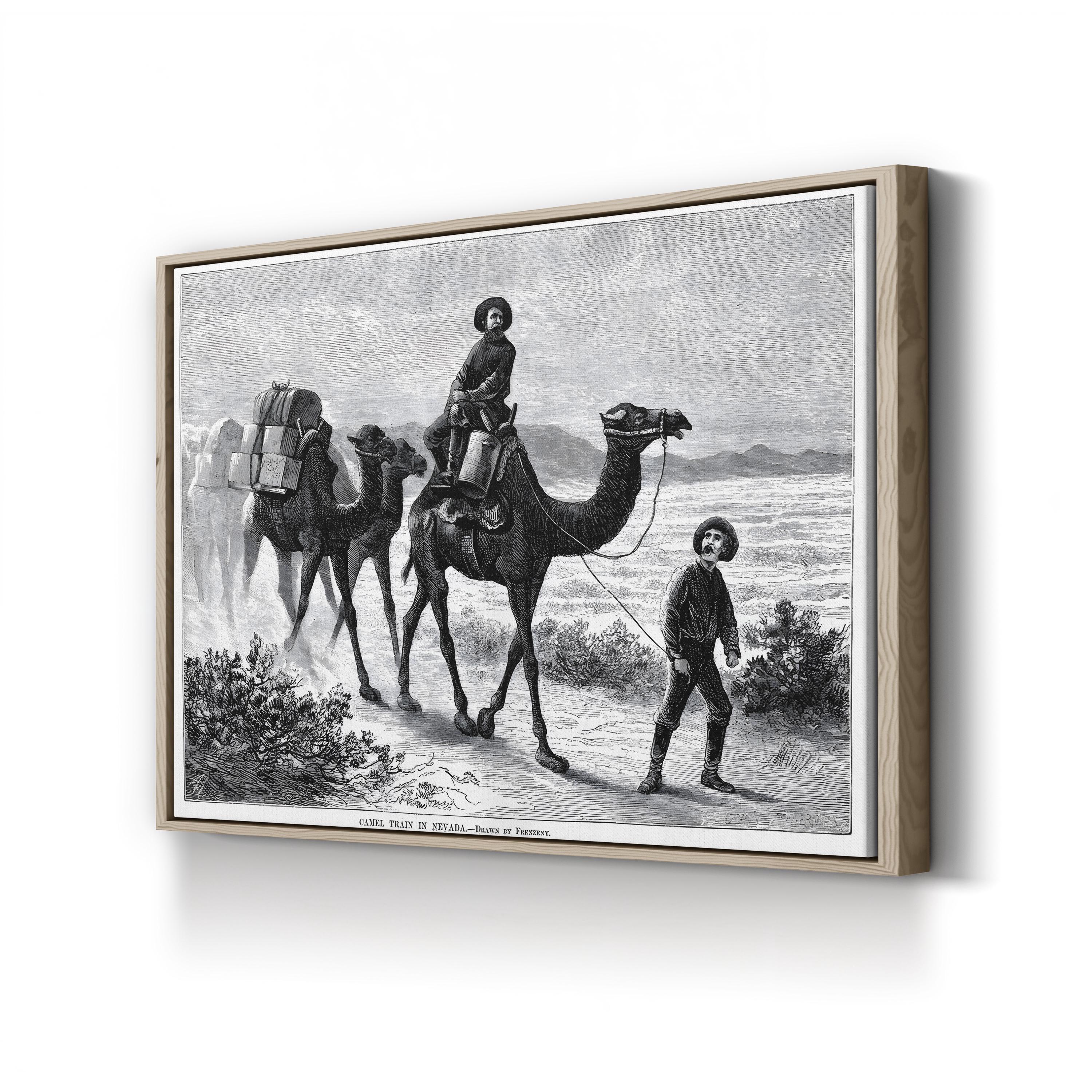 1877 American West Camel Caravan in the Nevada Desert