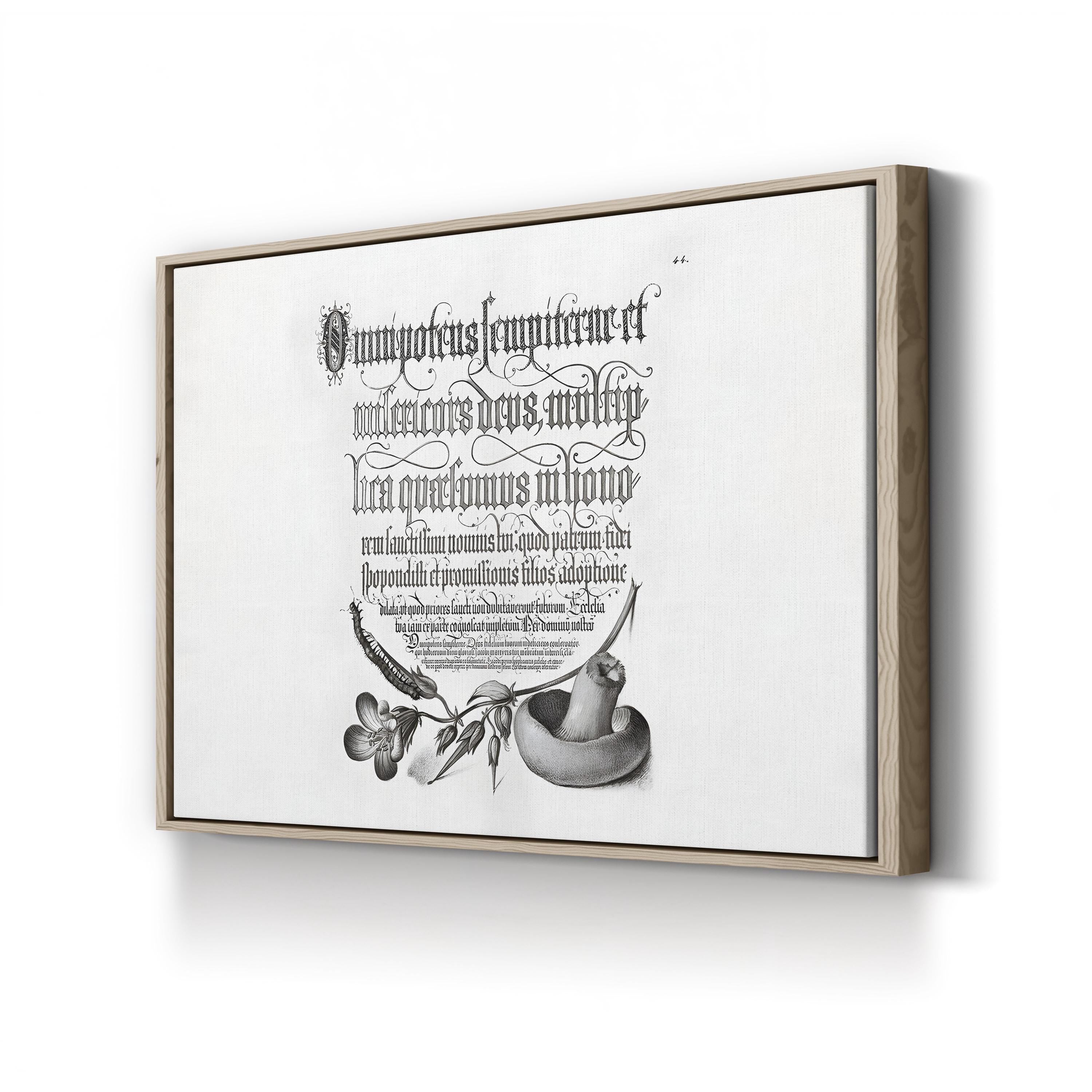 Centipede, Wood Cranesbill & Mushroom by Joris Hoefnagel & Georg Bocskay canvas print in Oak Framed Canvas