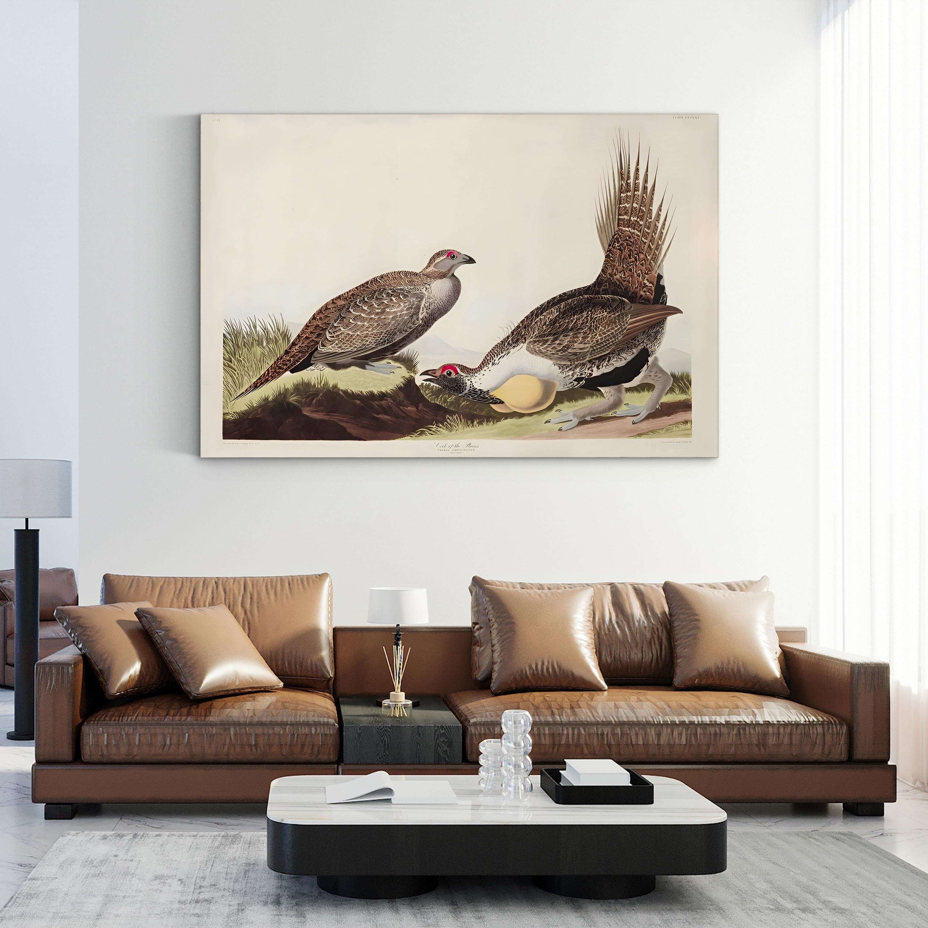 Vintage Plains Bird – Period Illustration Wall Art | 19th-Century Wildlife Canvas Print