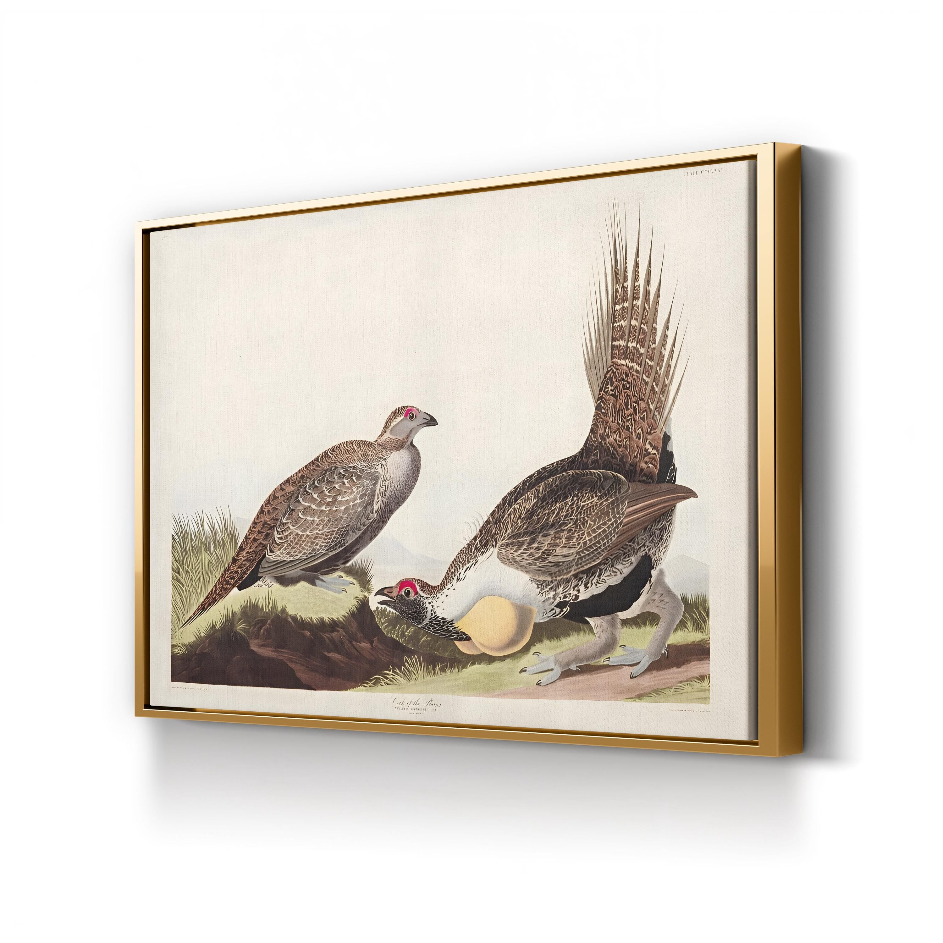 Vintage Plains Bird – Period Illustration Wall Art | 19th-Century Wildlife Canvas Print