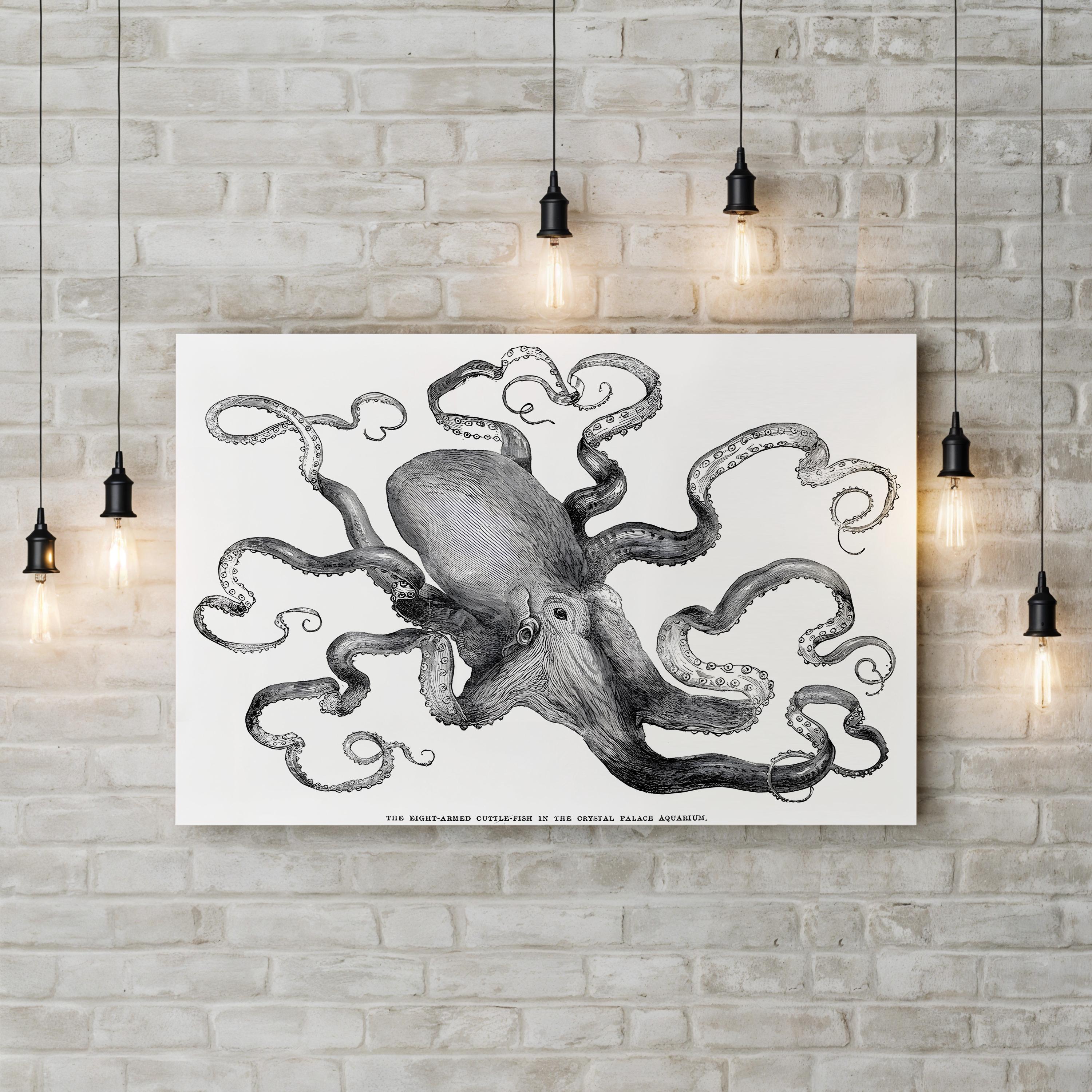 Common Octopus, 1871 – Period Illustration Wall Art | Vintage Marine Canvas Print
