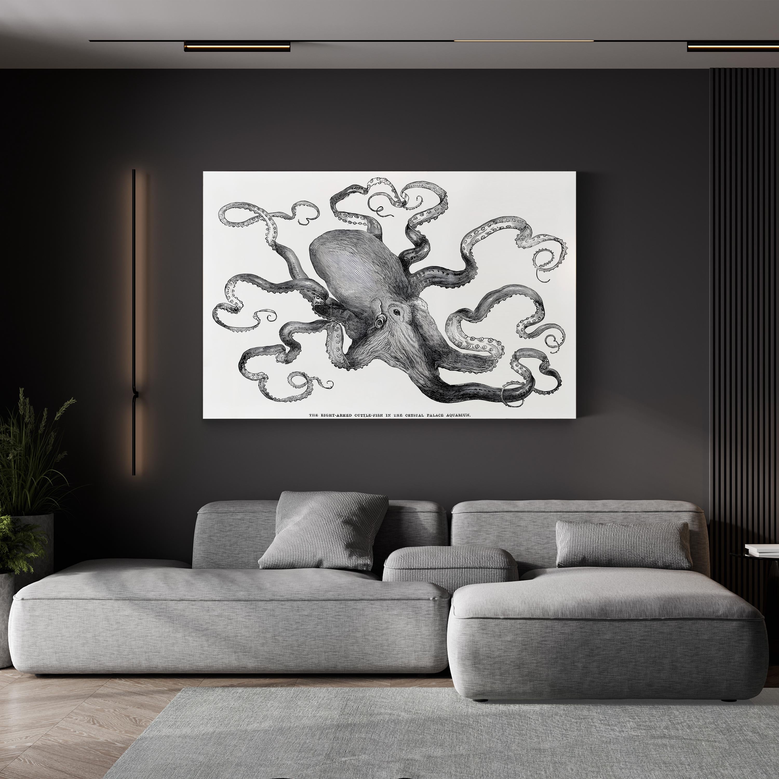 Common Octopus, 1871 – Period Illustration Wall Art | Vintage Marine Canvas Print