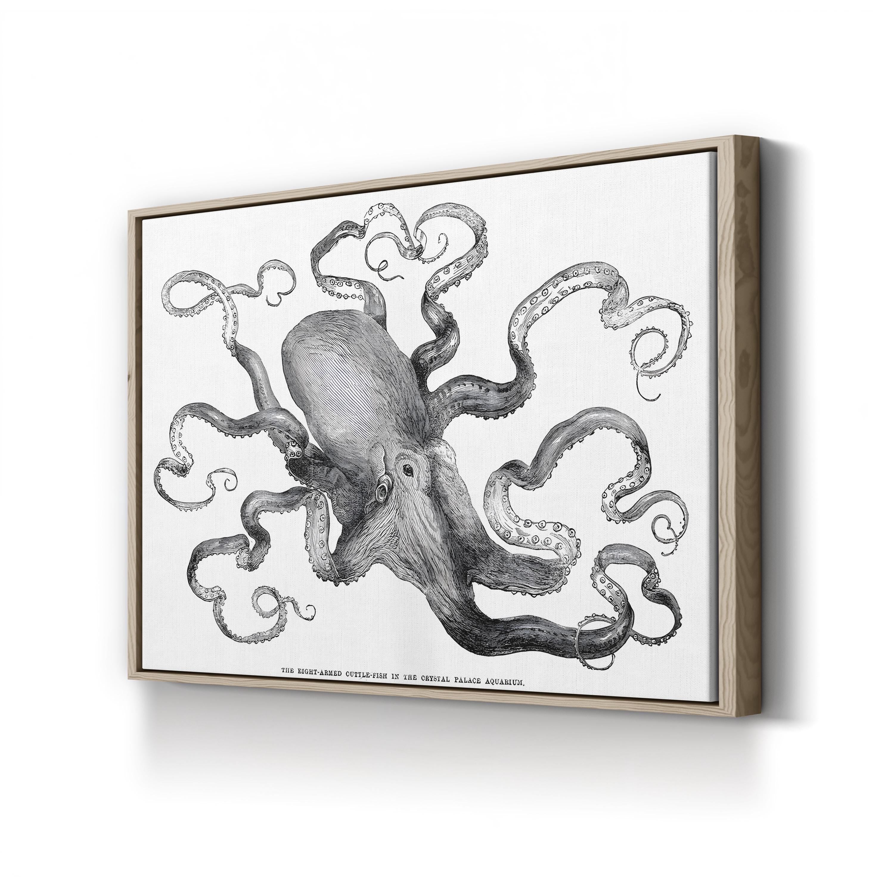 Common Octopus, 1871 – Period Illustration Wall Art | Vintage Marine Canvas Print