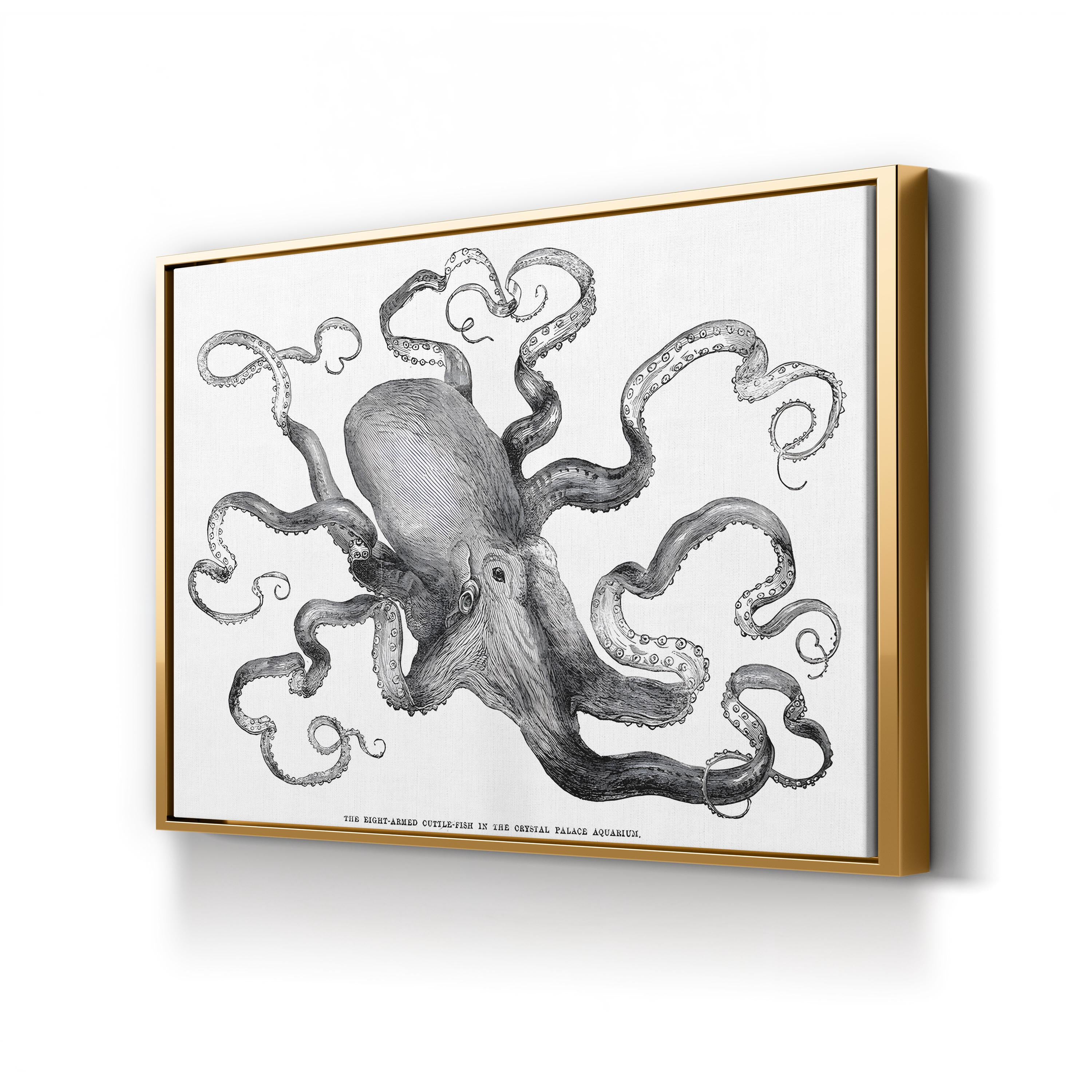 Common Octopus, 1871 – Period Illustration Wall Art | Vintage Marine Canvas Print