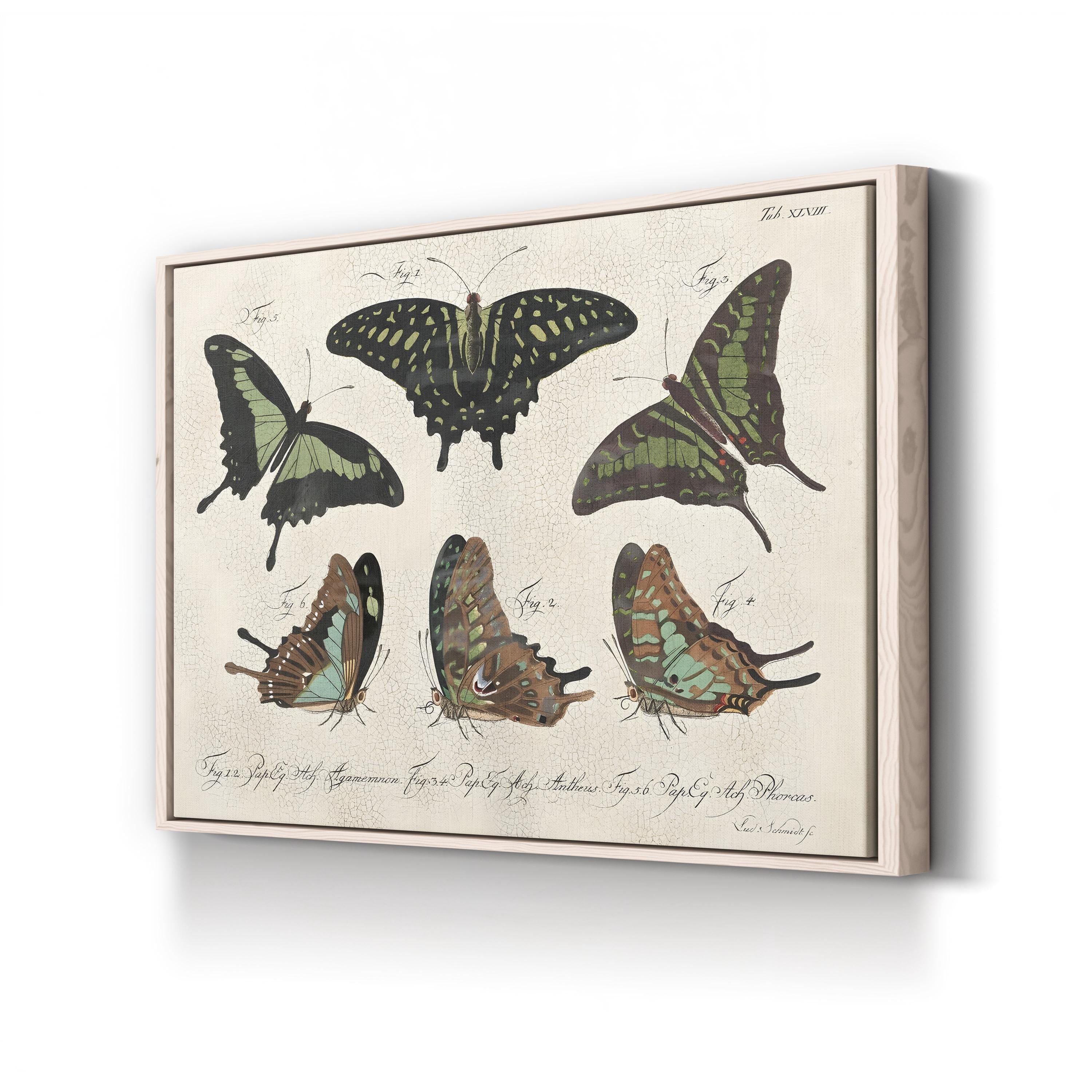 Cracked Botanical Vintage Butterflies II Wall Art