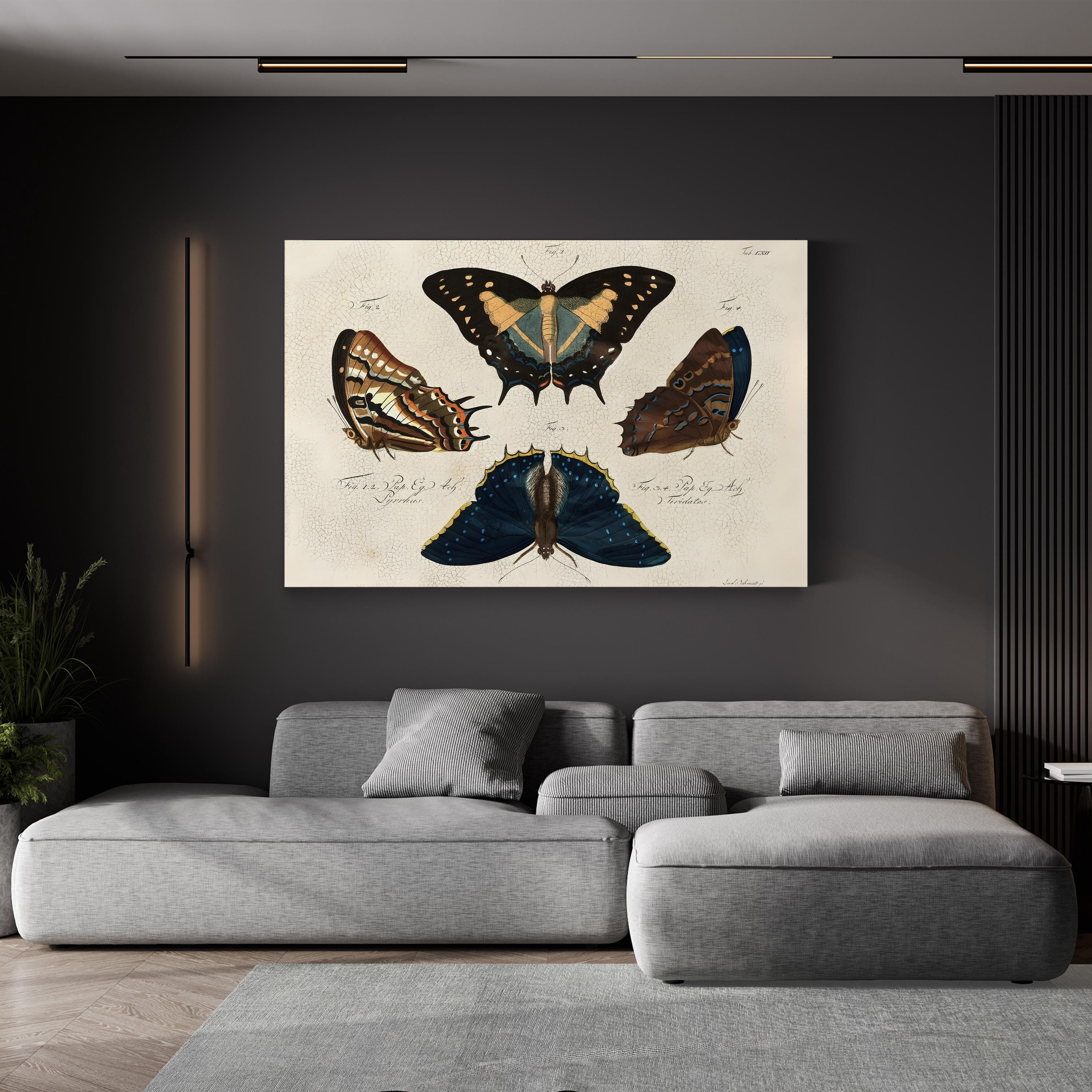 Crackled Composition of Butterflies in Natural History illustration