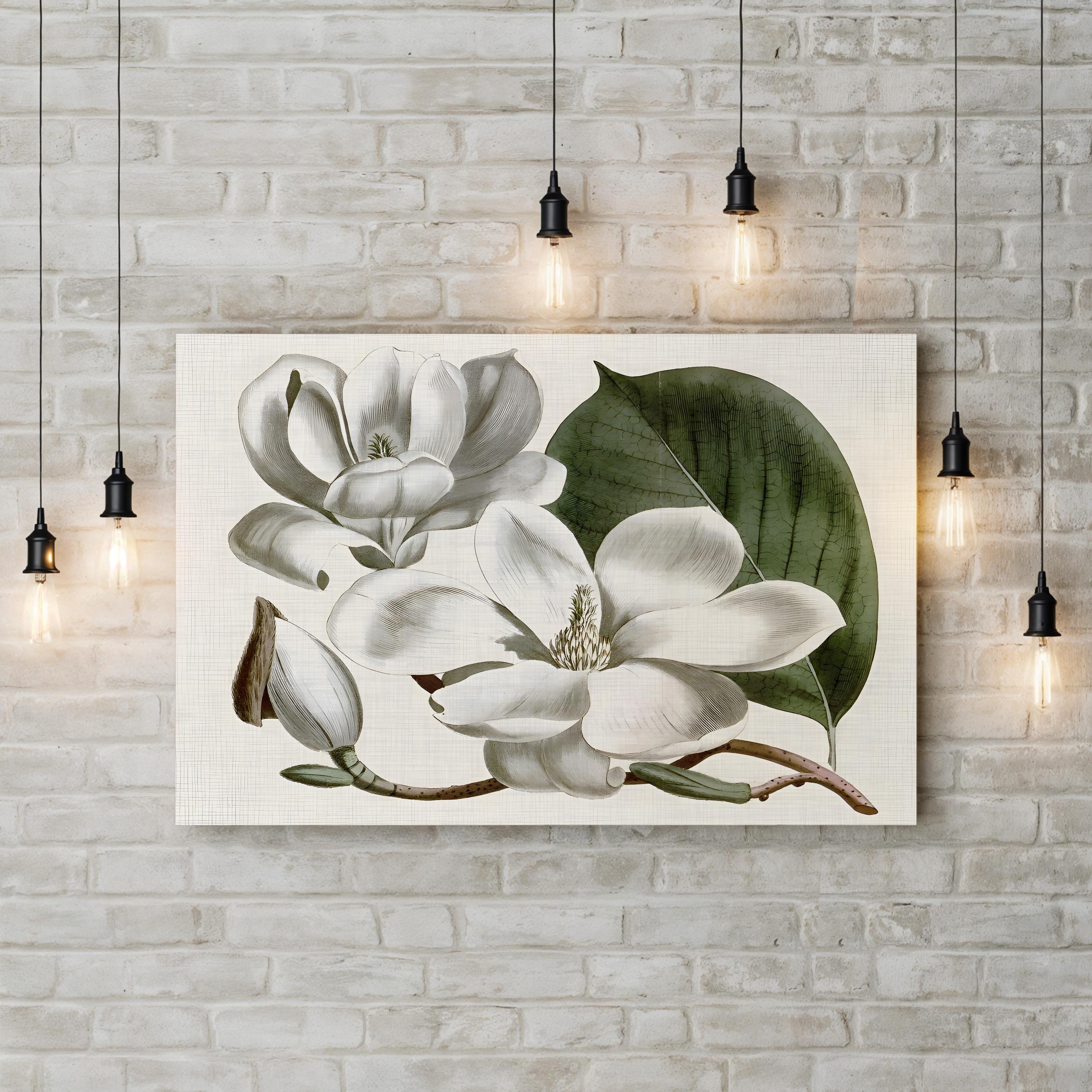 Vintage Magnolia Bloom – Period Illustration Wall Art | Botanical Canvas Print