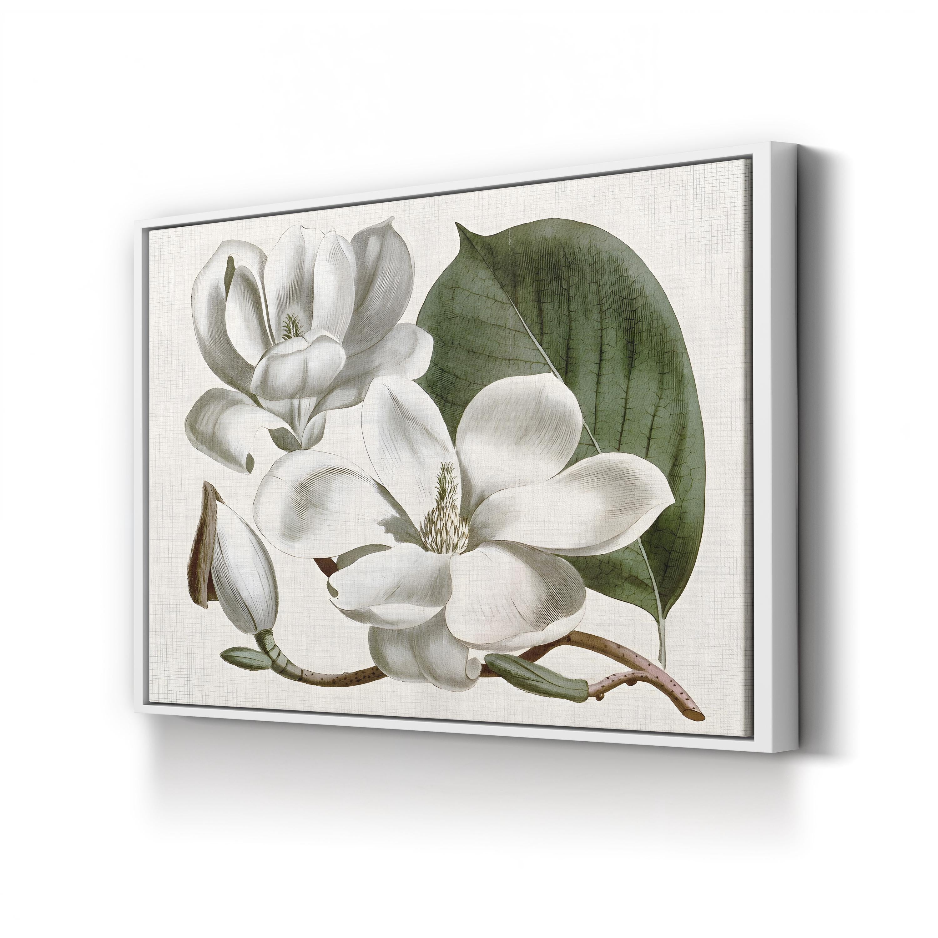 Vintage Magnolia Bloom canvas print in white frame