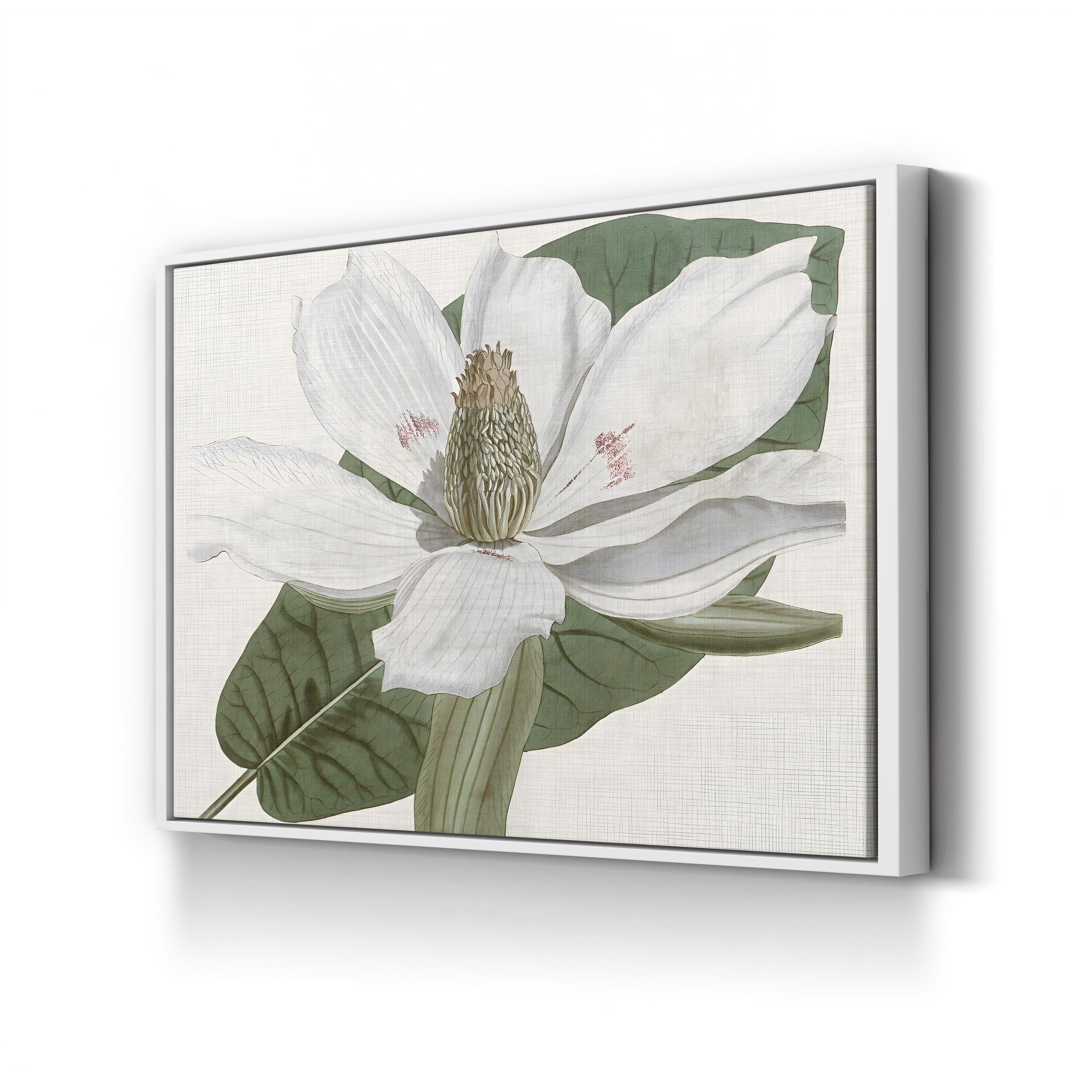 Curtis Magnolia II Wall Art by Curtis Art