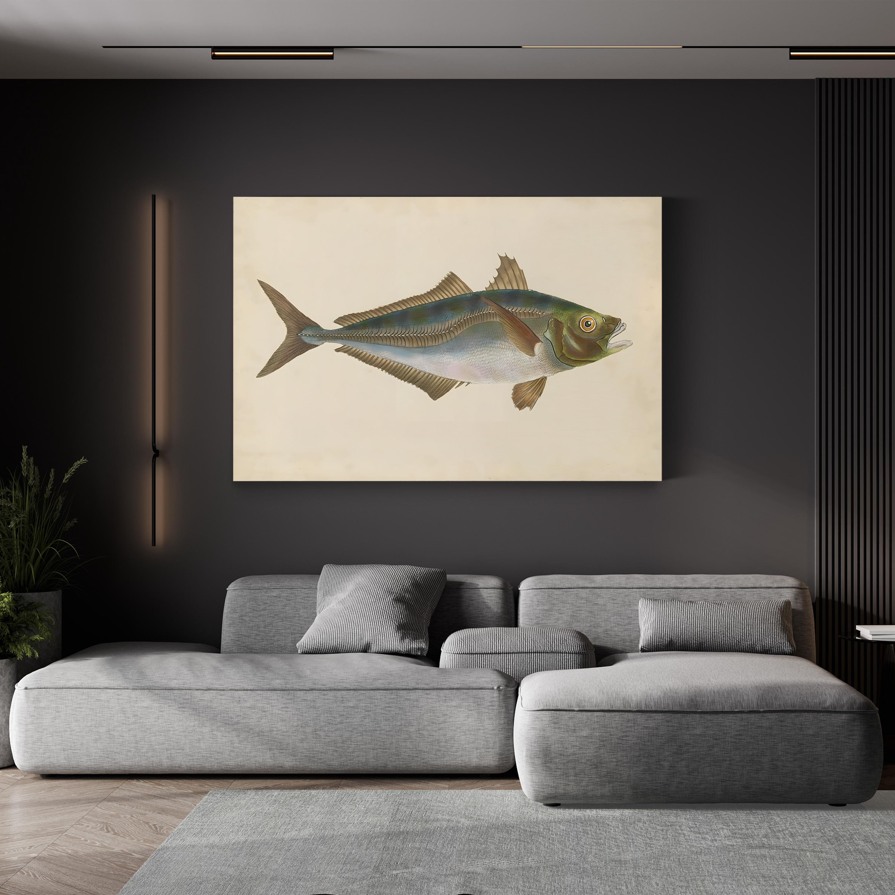 19th-Century Marine Fish Study – Donovan Wall Art | Naturalist Illustration Canvas Print