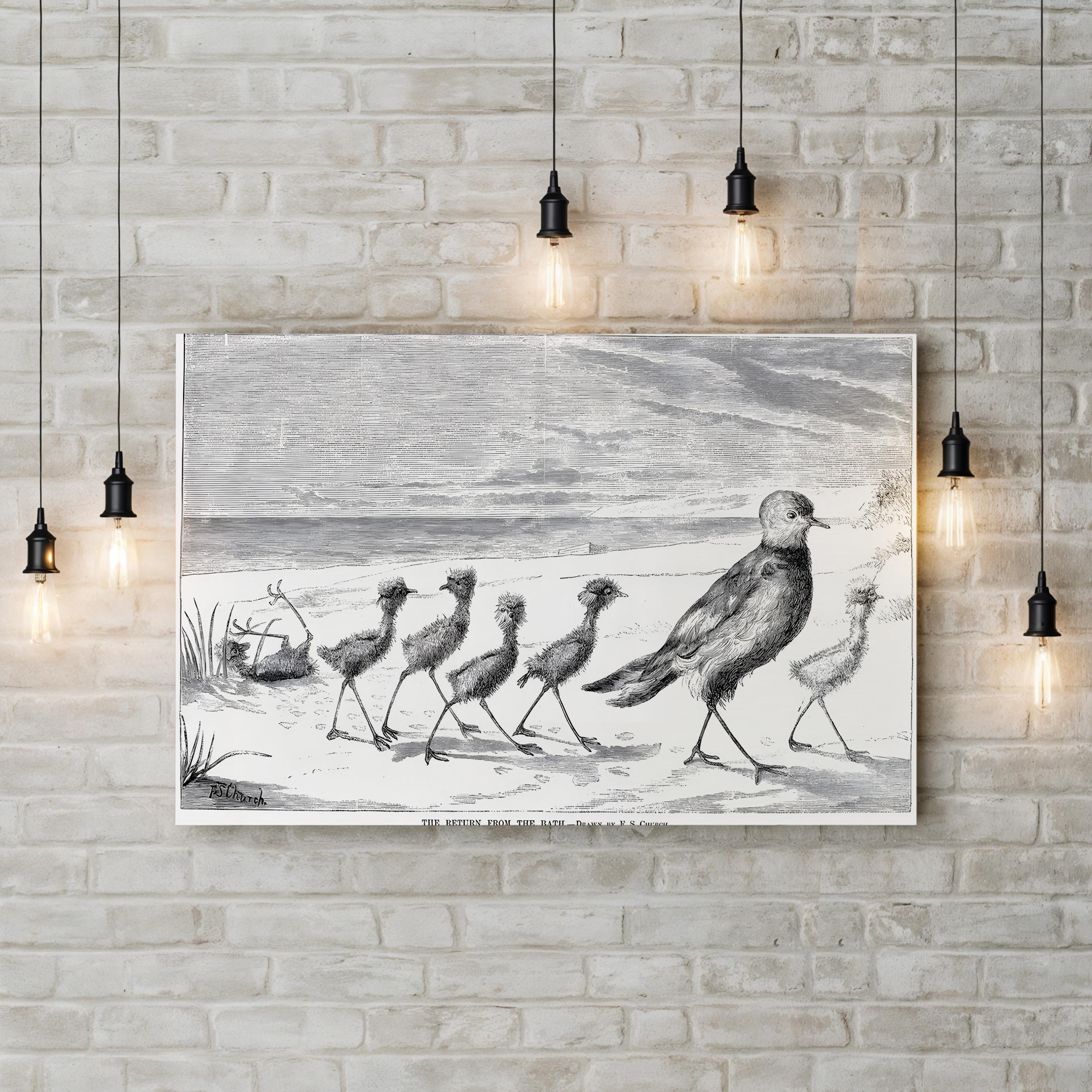 Vintage Bird Family Canvas Art Print: 1879 Engraved Nature Illustration
