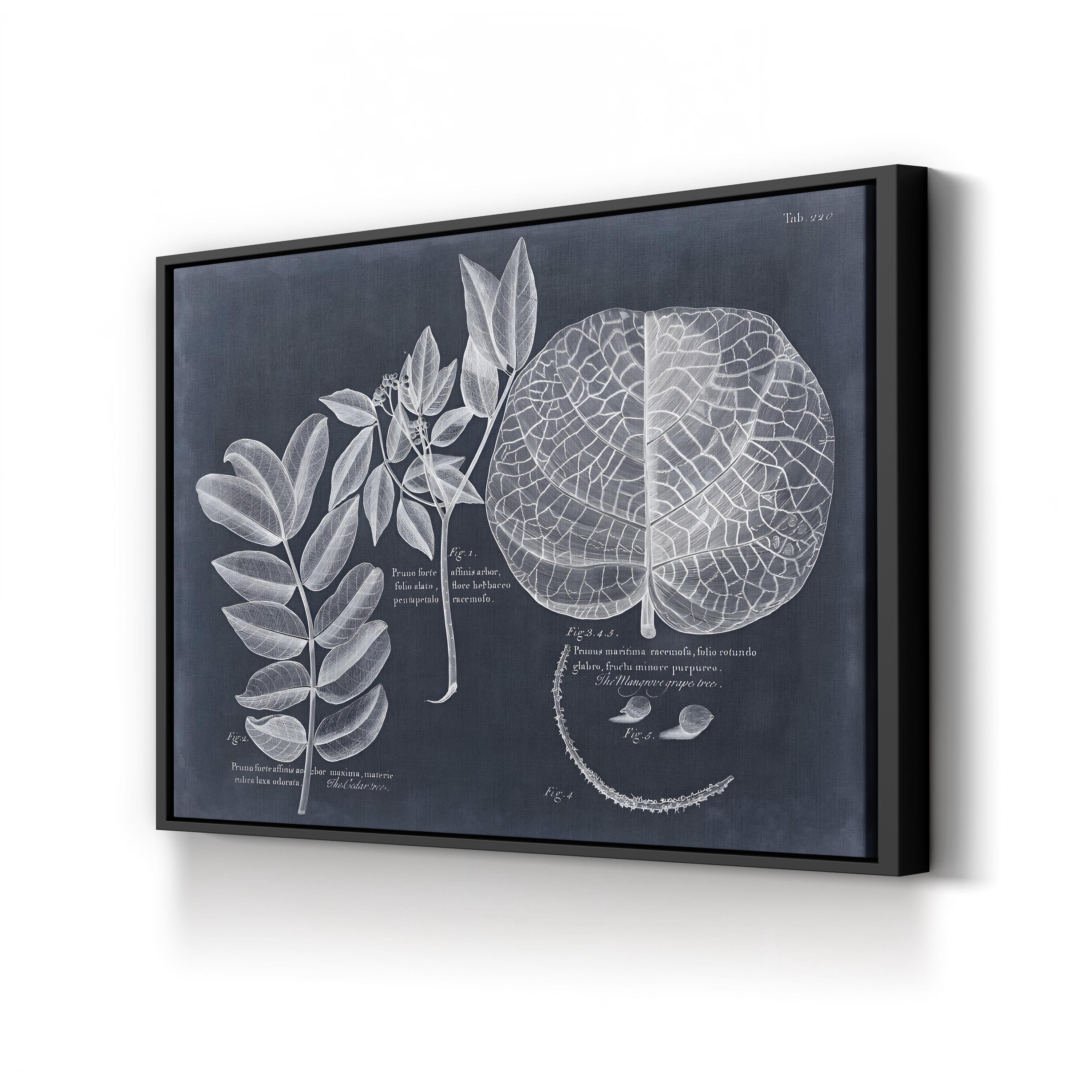 Antique Botanical Leaf Illustration on Navy canvas print in Black Framed Canvas