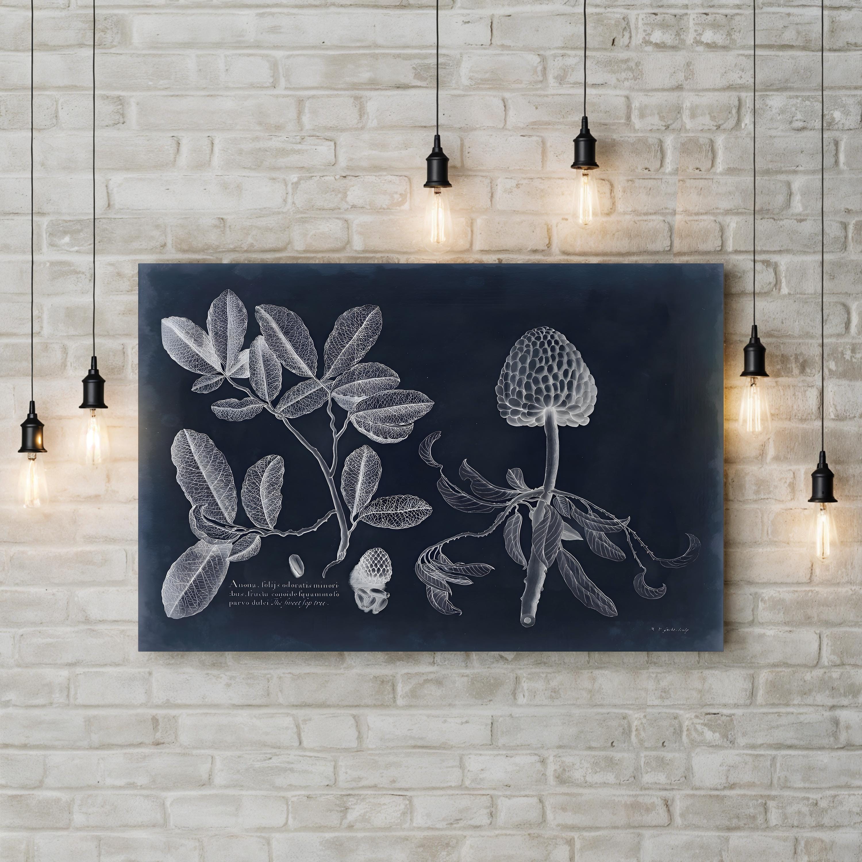 Vintage Botanical Art Print: Navy & White Foliage Anatomy