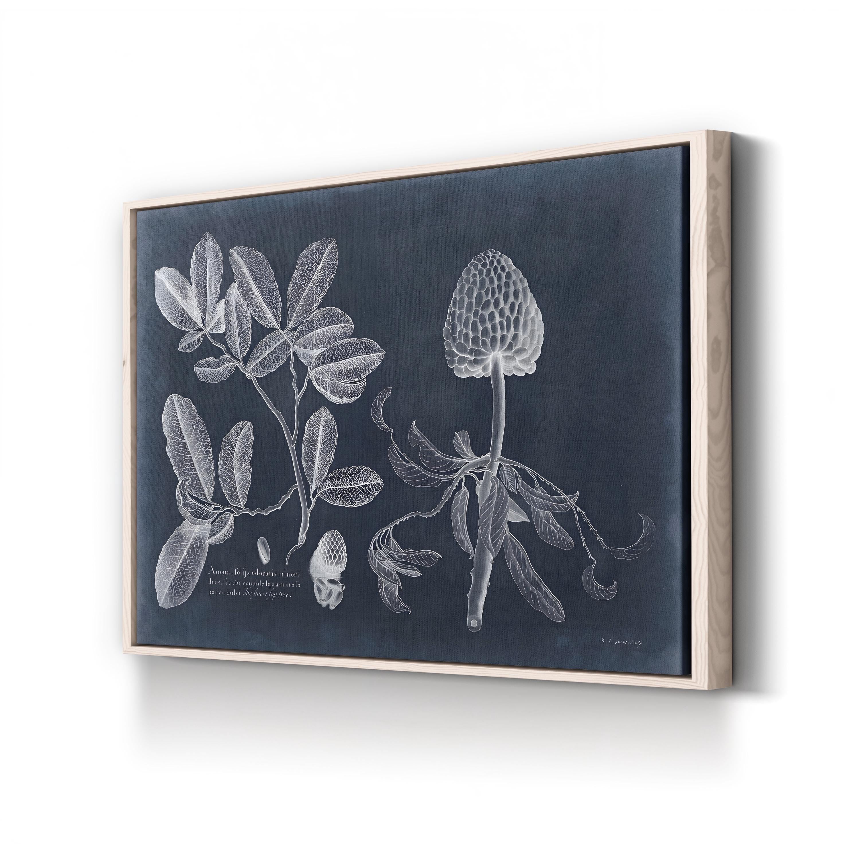 Vintage Botanical Art Print: Navy & White Foliage Anatomy