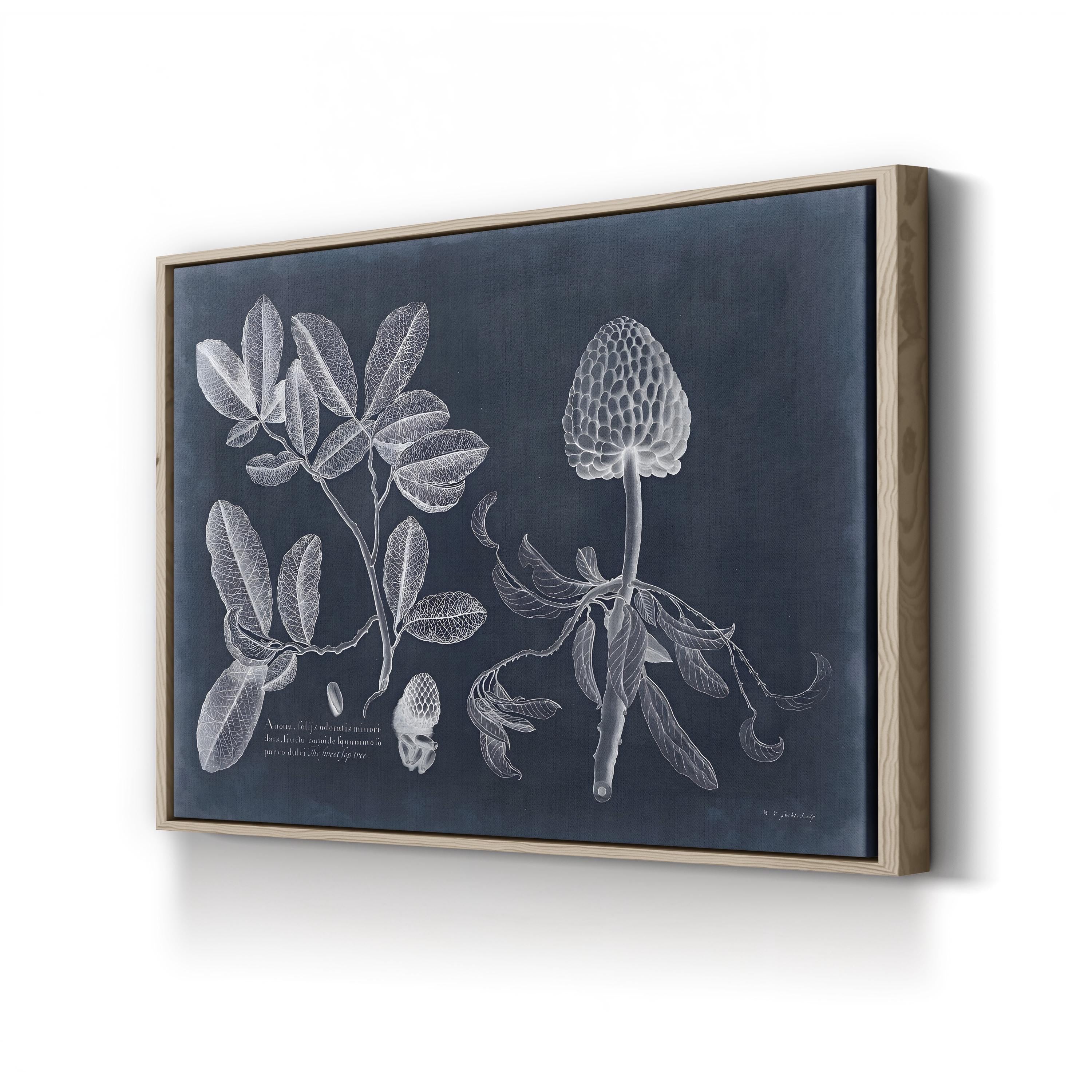 Vintage Botanical Art Print: Navy & White Foliage Anatomy