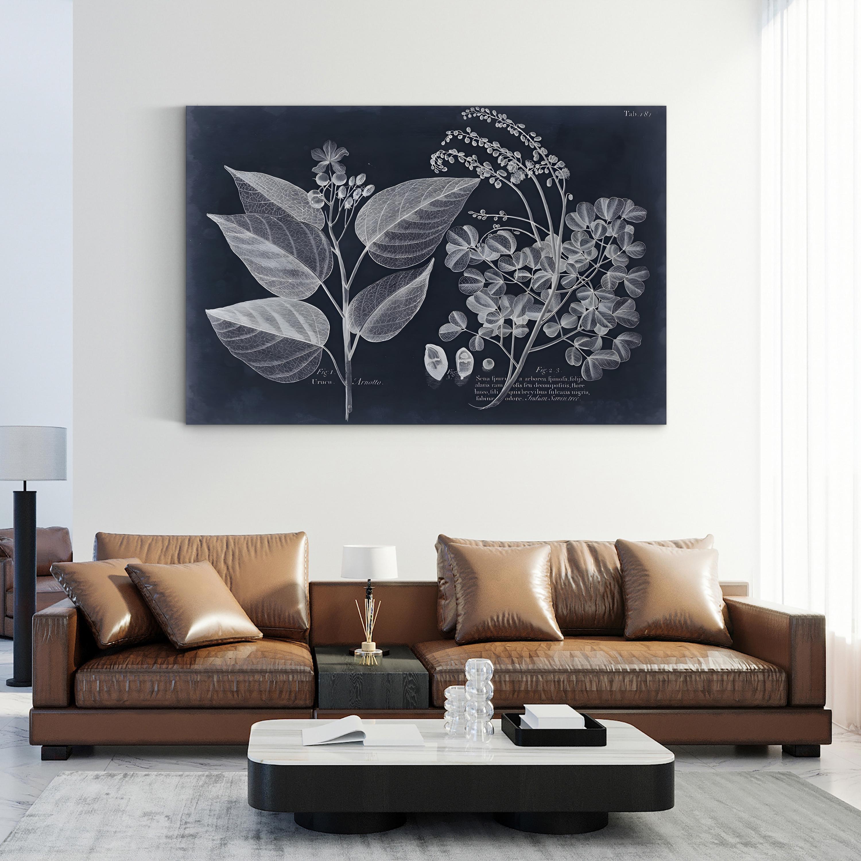 Foliage on Navy III Wall Art — Vision Studio Vintage Botanical Illustration