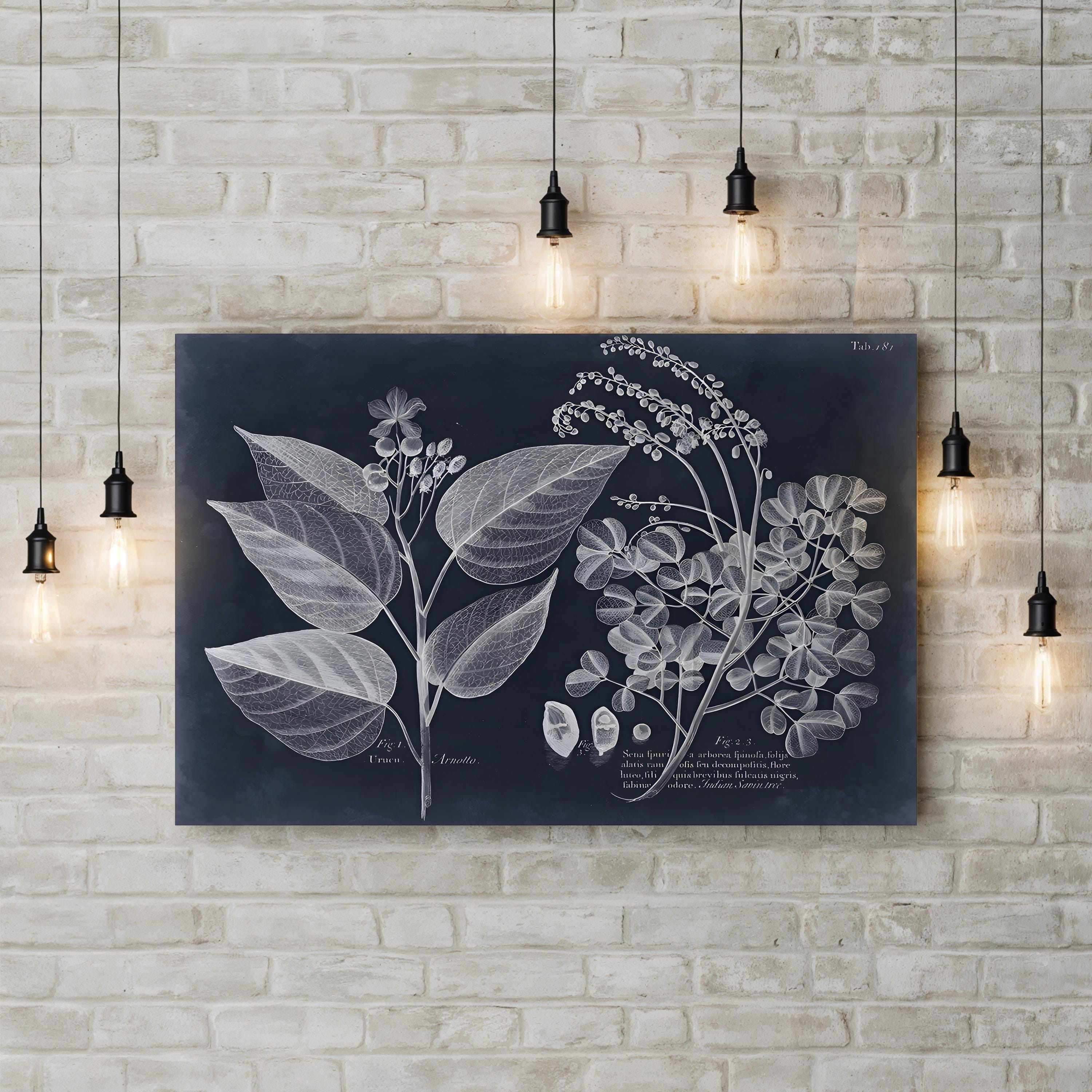 Foliage on Navy III Wall Art — Vision Studio Vintage Botanical Illustration