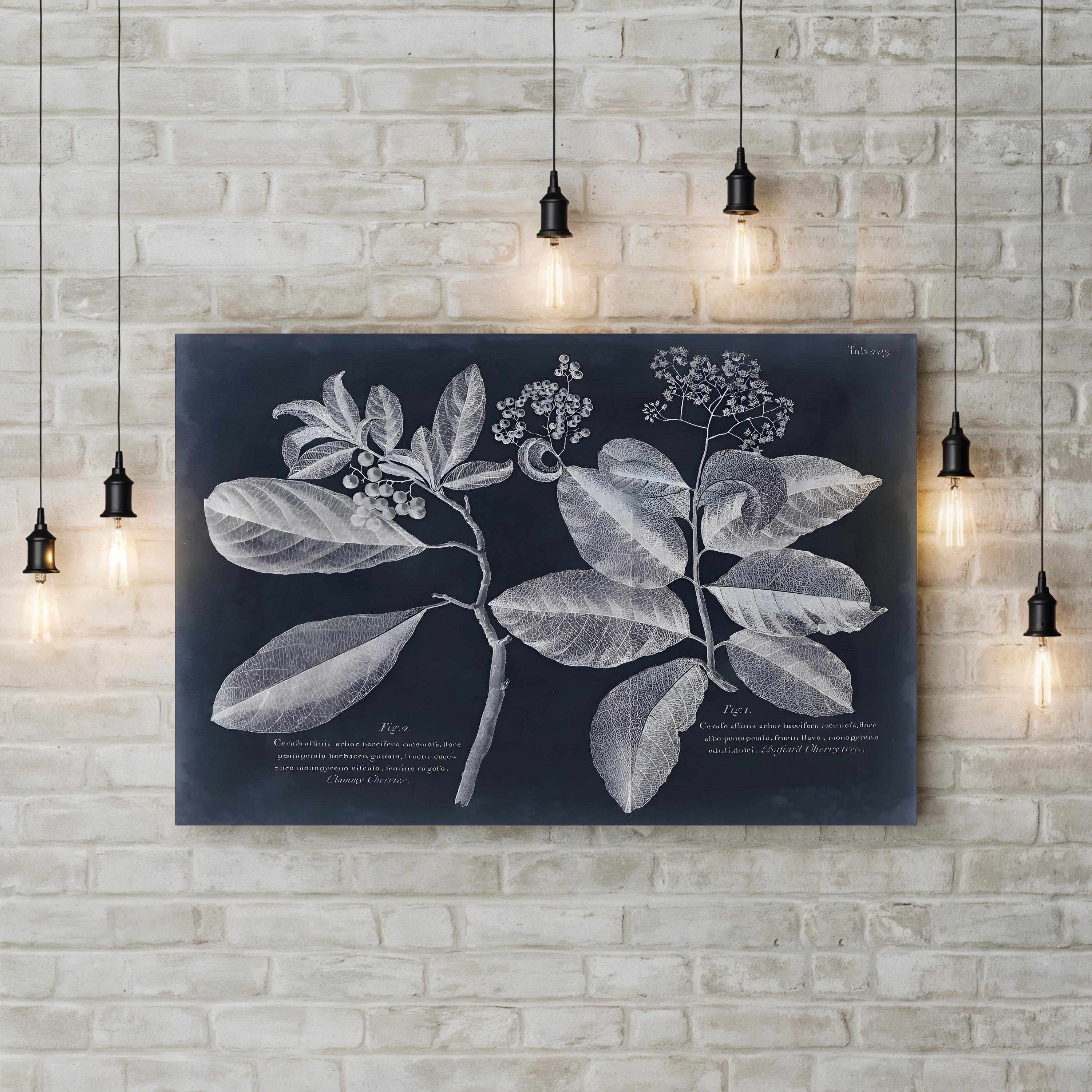 Foliage on Navy IV Wall Art — Vision Studio Botanical Illustration Print