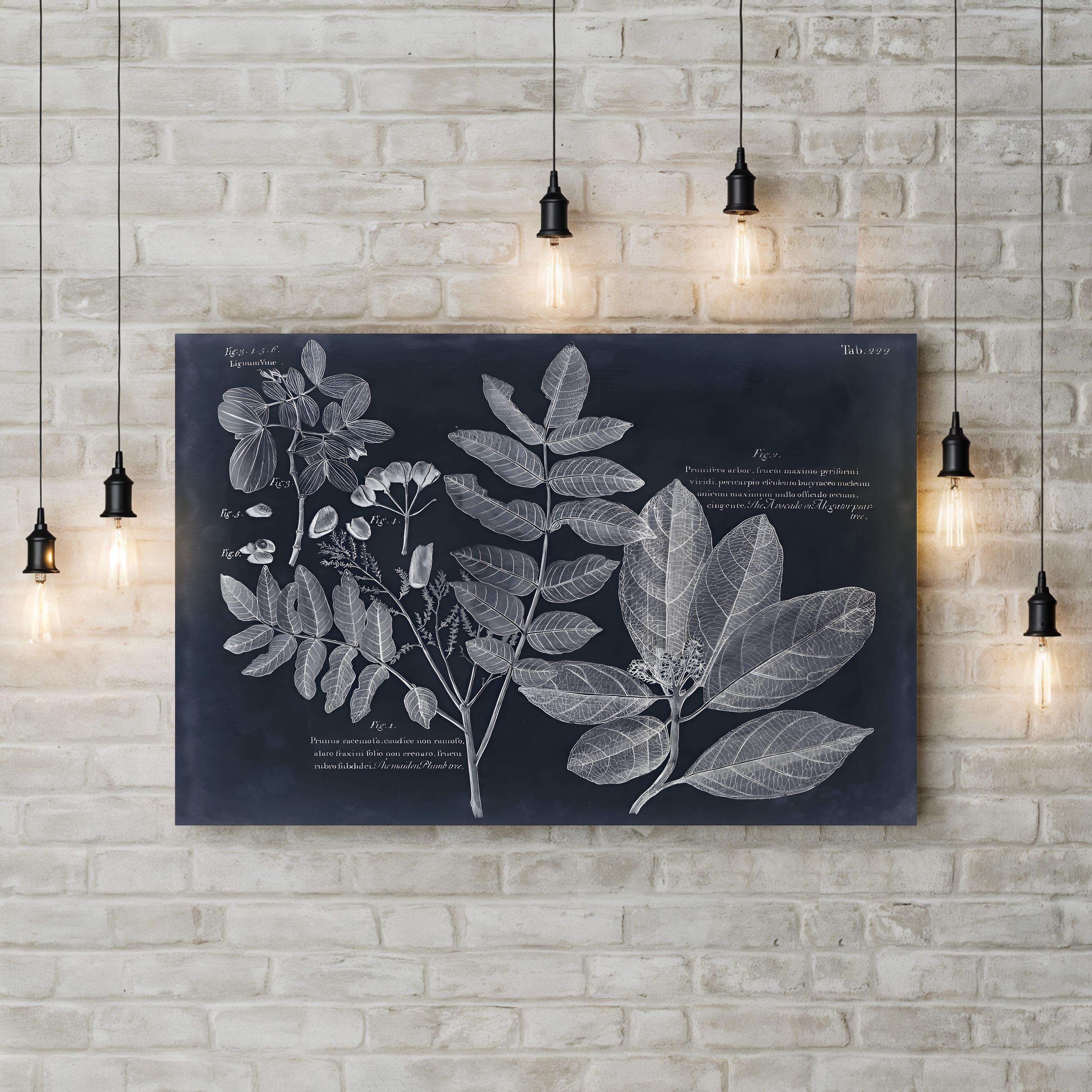Foliage on Navy V Wall Art — Vision Studio Vintage Botanical Illustration