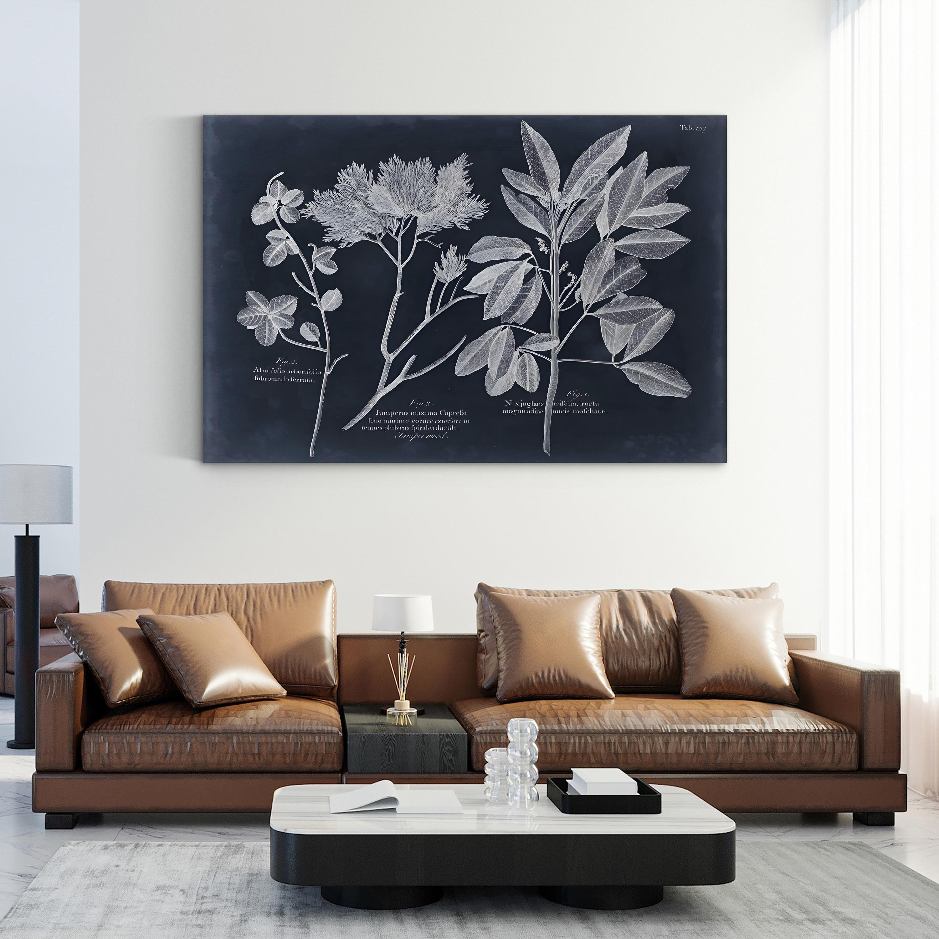 Foliage on Navy VI Wall Art — Vision Studio Vintage Botanical Illustration