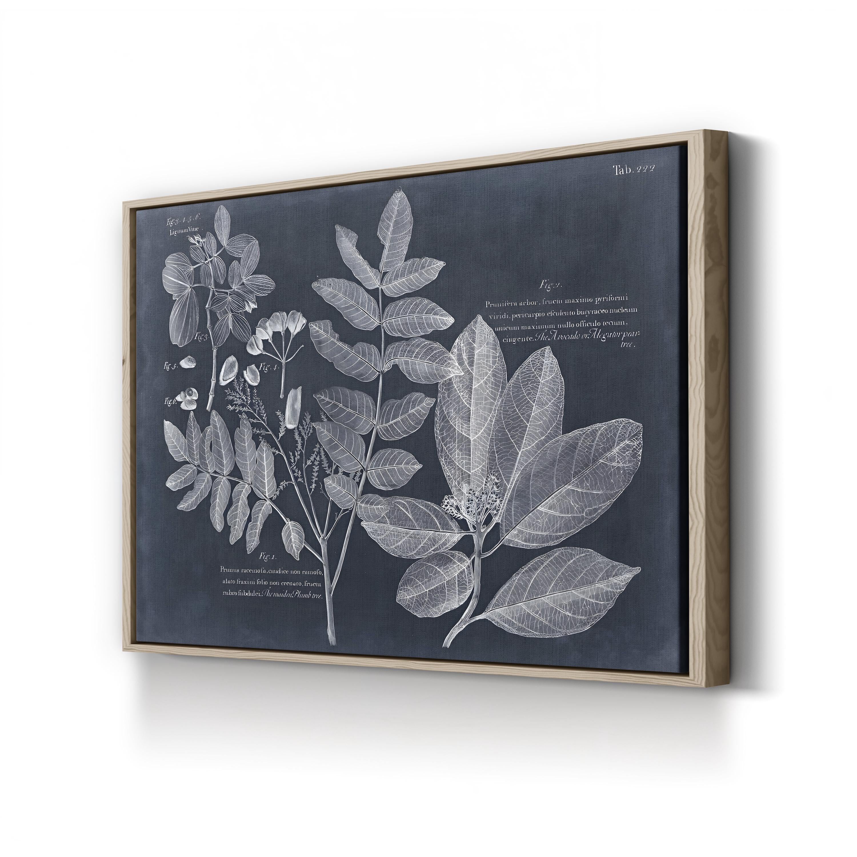 Foliage on Navy V Wall Art — Vision Studio Vintage Botanical Illustration
